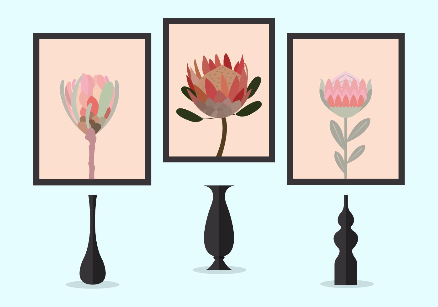 Vector Illustration of Protea Flowers Stock Free and Free SVG