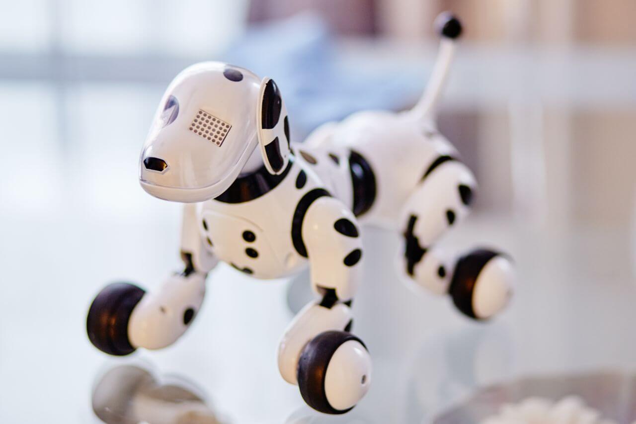 White & Black Robot Dog Stock Free