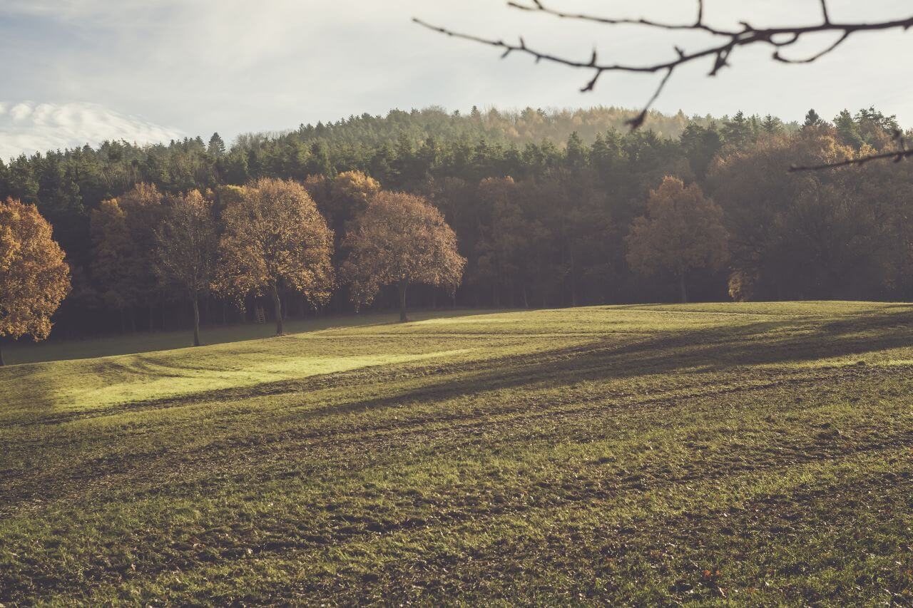 Agriculture Stock Free