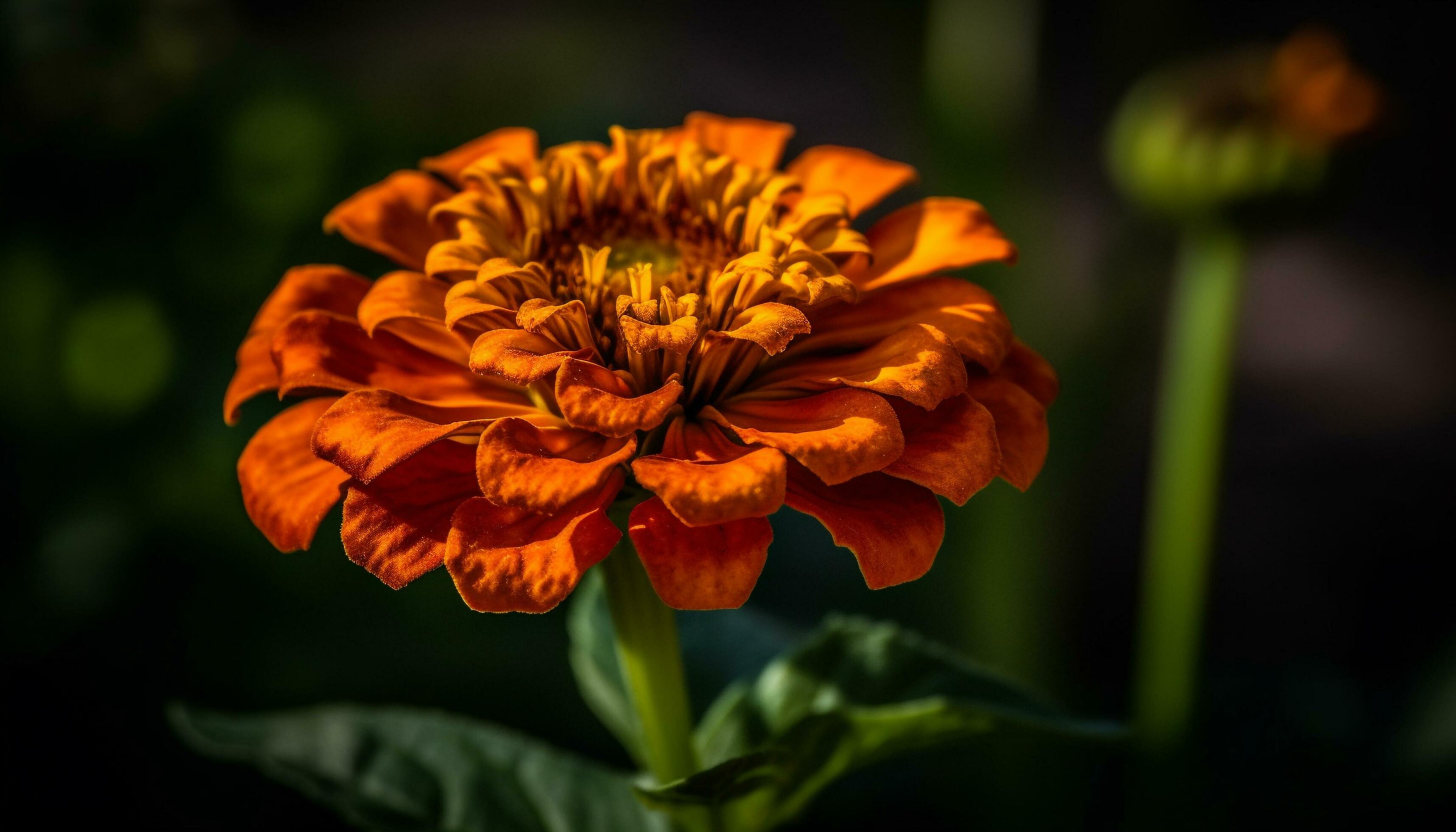 
									Vibrant bouquet of multi colored flowers in a formal garden generated by AI Stock Free