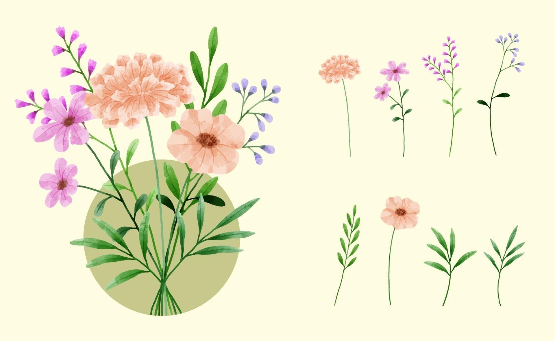 A set of flowers painted in watercolor for designer work create Stock Free