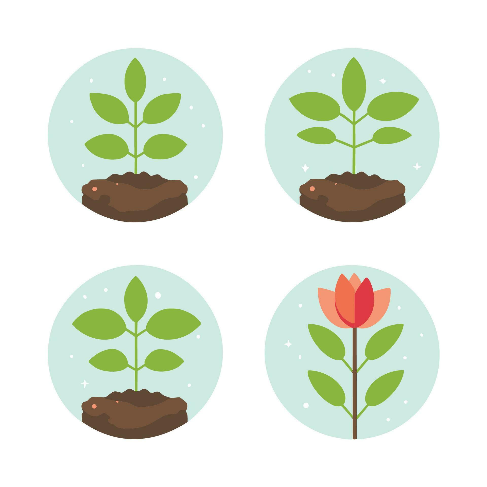 Flowers and plants seedling process flat icons set isolated vector illustration. Stock Free