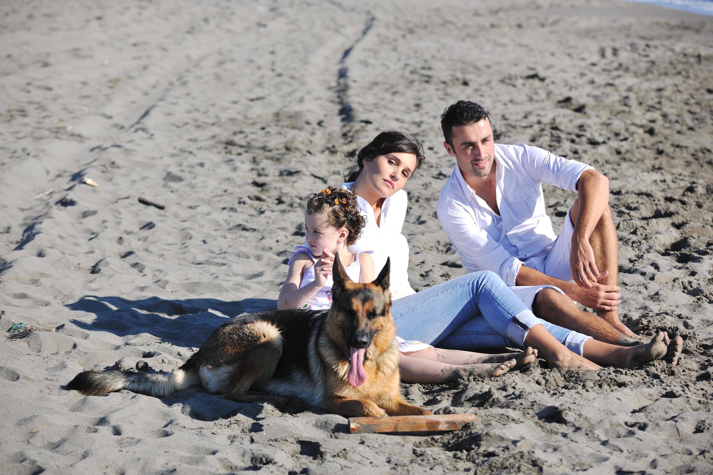 happy family playing with dog on beach Stock Free