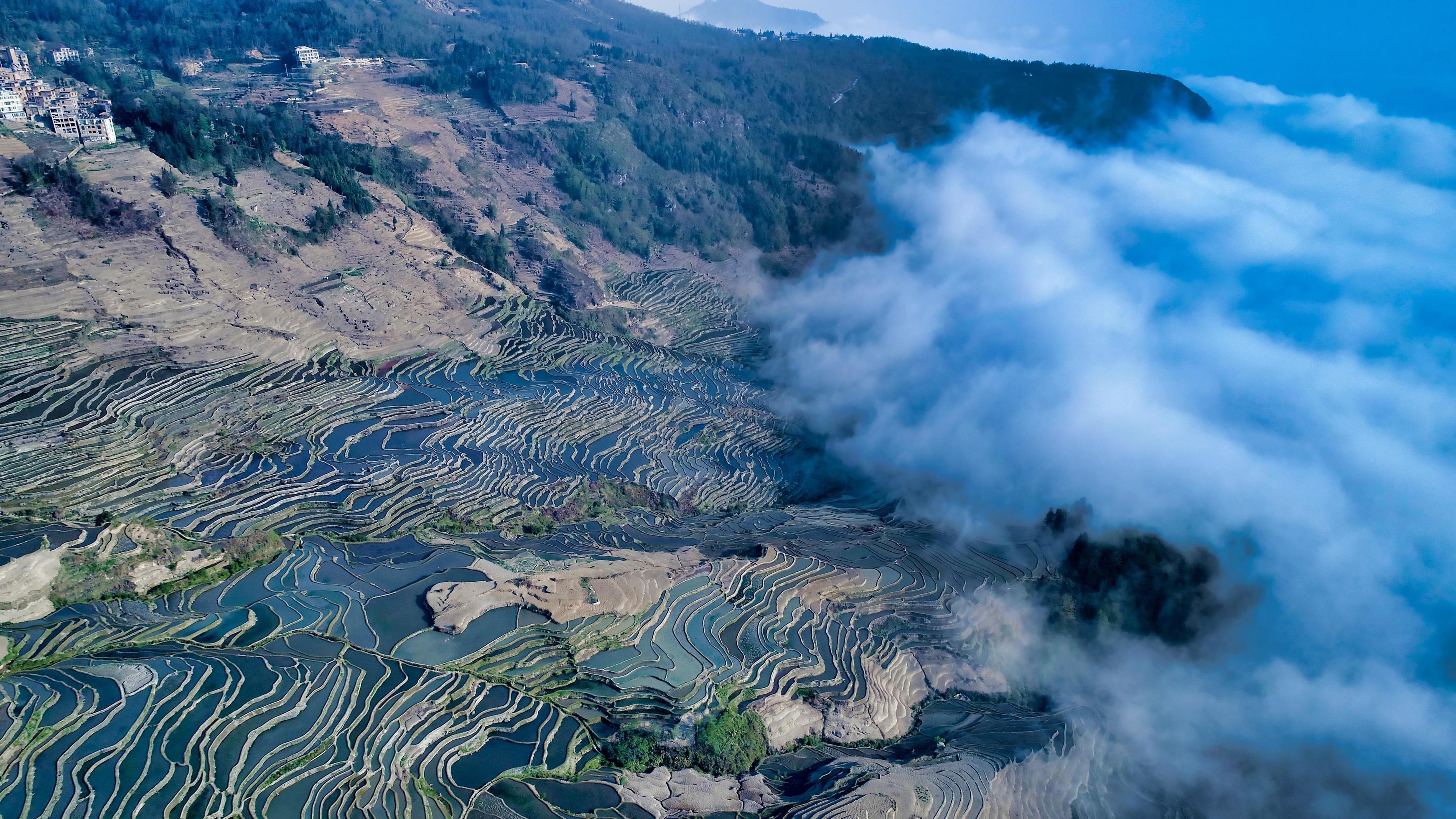 Fog rolling in on the Yuanyang terraces Stock Free