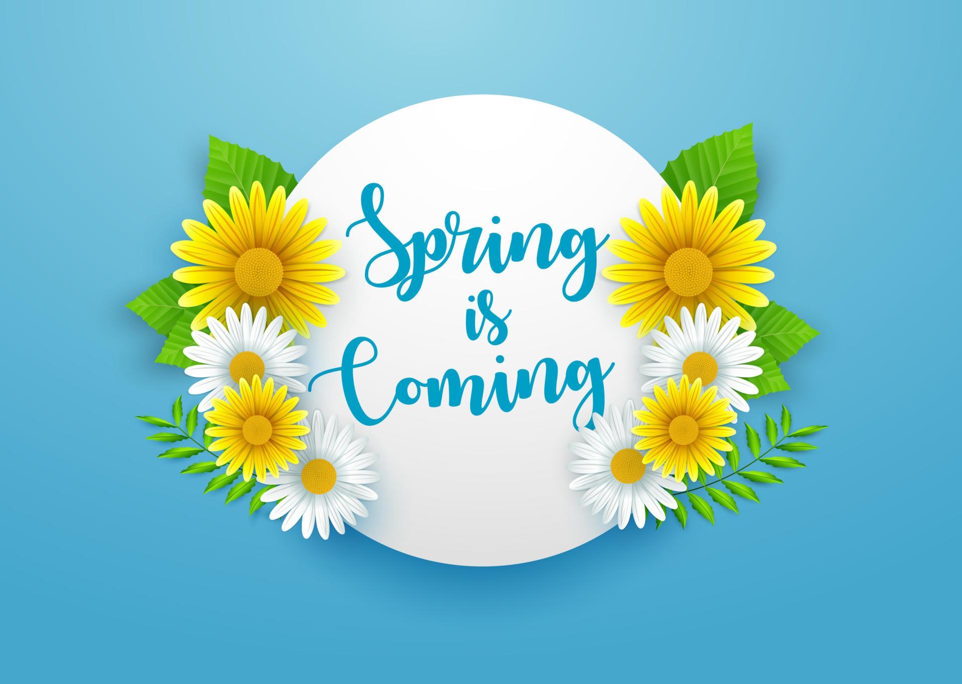 Spring background with beautiful flowers and round frame Stock Free and Free SVG