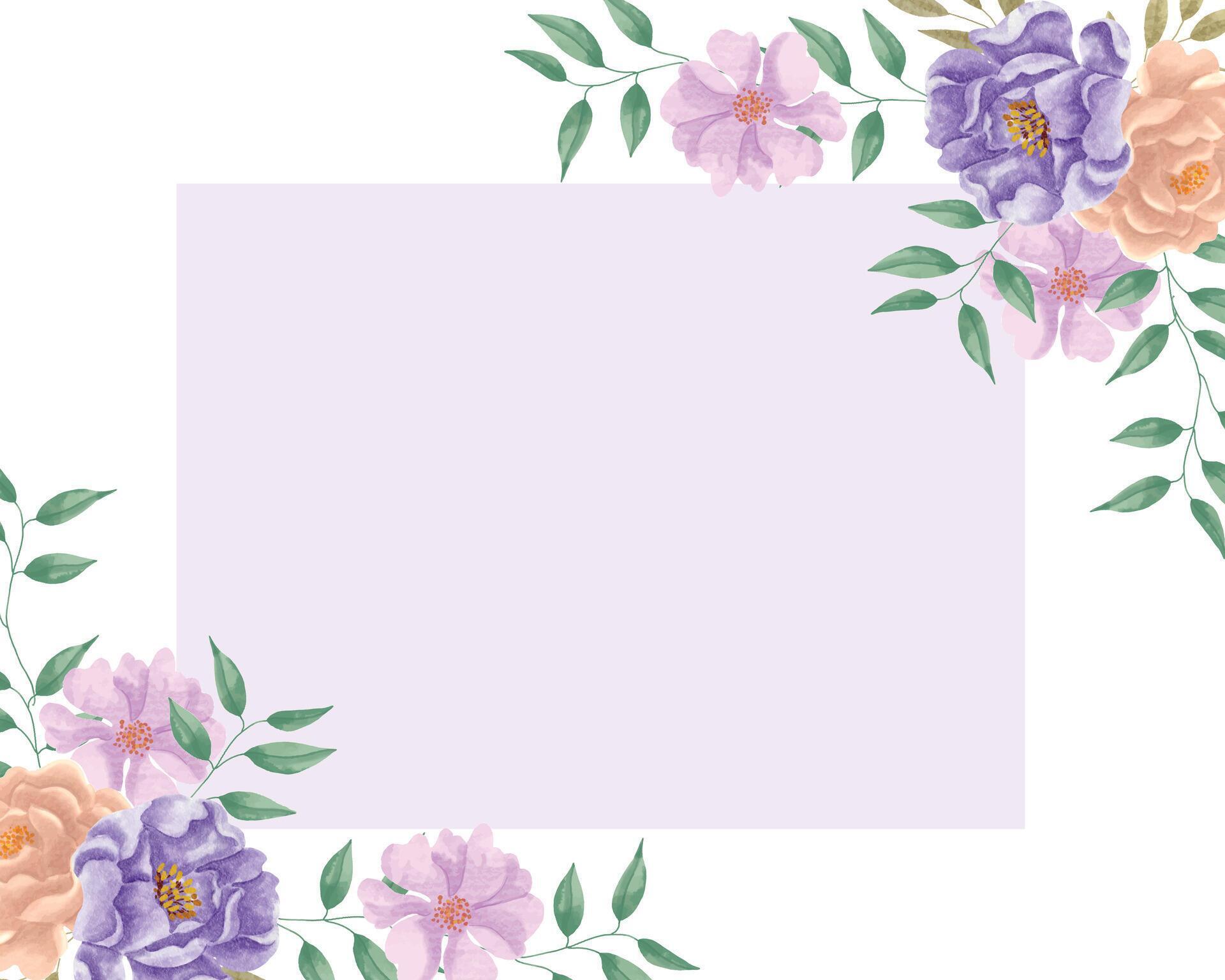 Purple and Peach Rose Watercolor Flower Border Stock Free