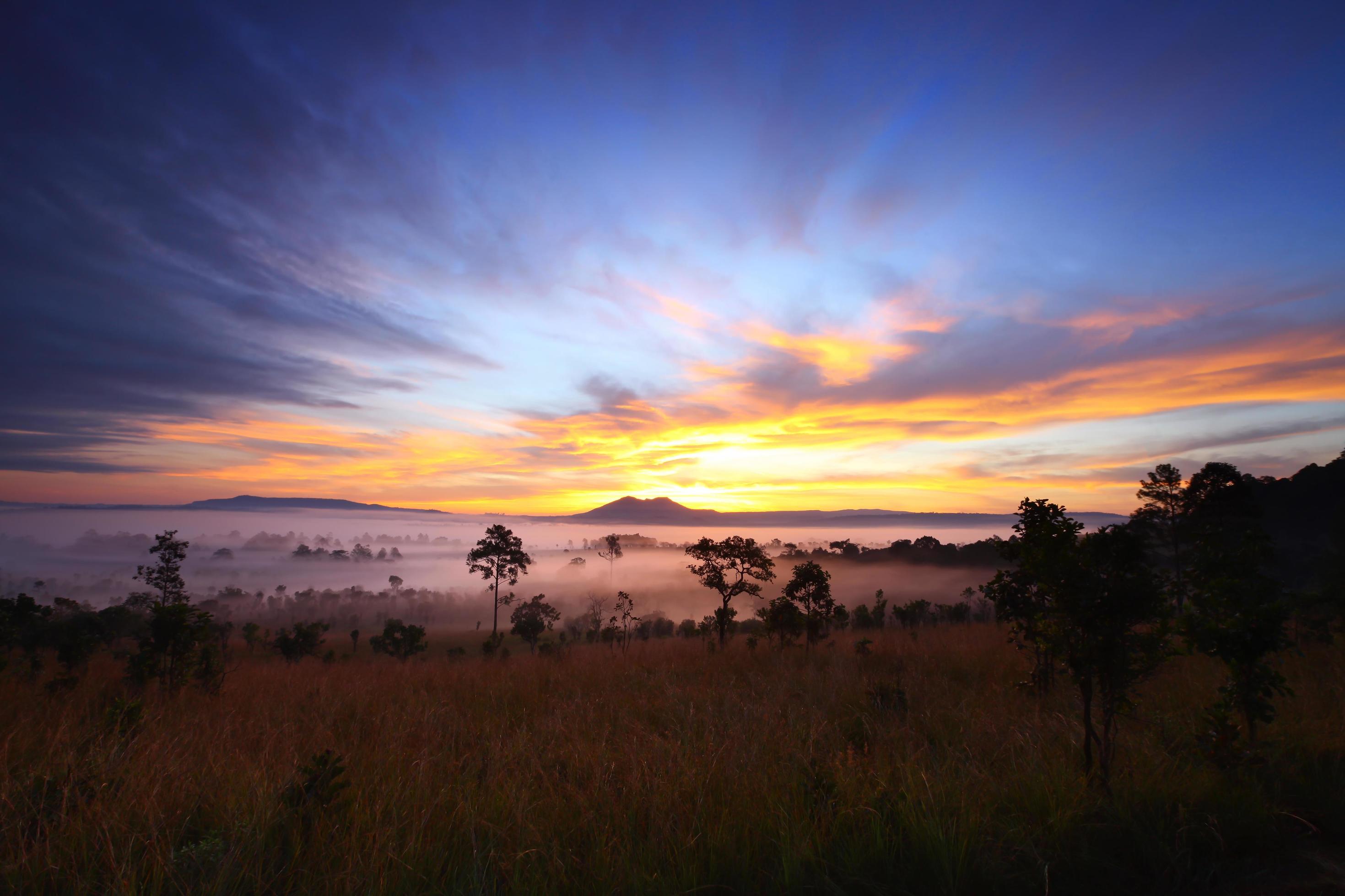 Misty morning sunrise at Thung Salang Luang National Park Phetchabun,Thailand Stock Free