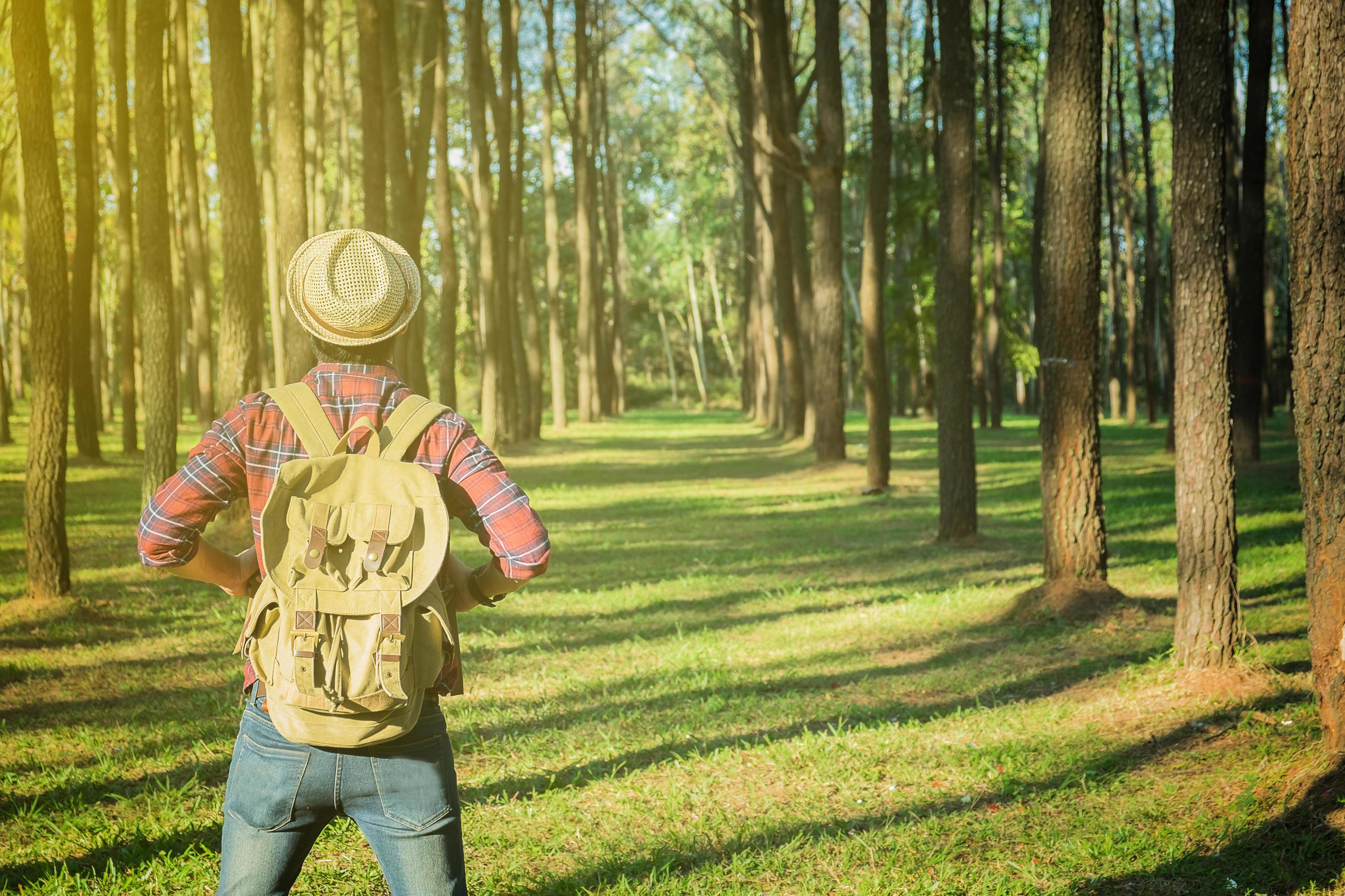 Young Man Traveler with backpack open arm relaxing outdoor on background fir park Summer vacations and Lifestyle hiking concept Stock Free