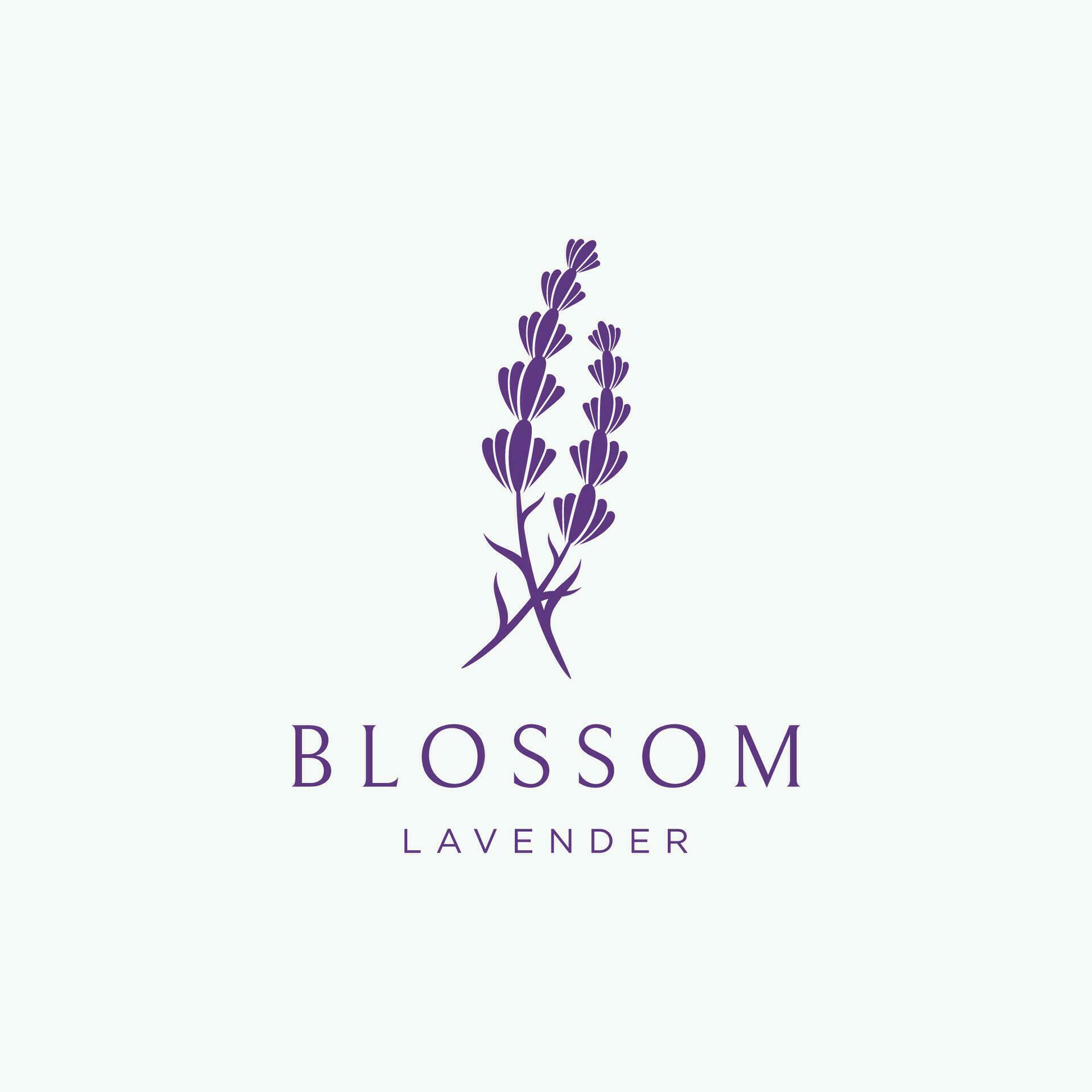 Blooming lavender organic flower logo template design. Logo for cosmetics, beauty, botany, perfume and decoration. Stock Free