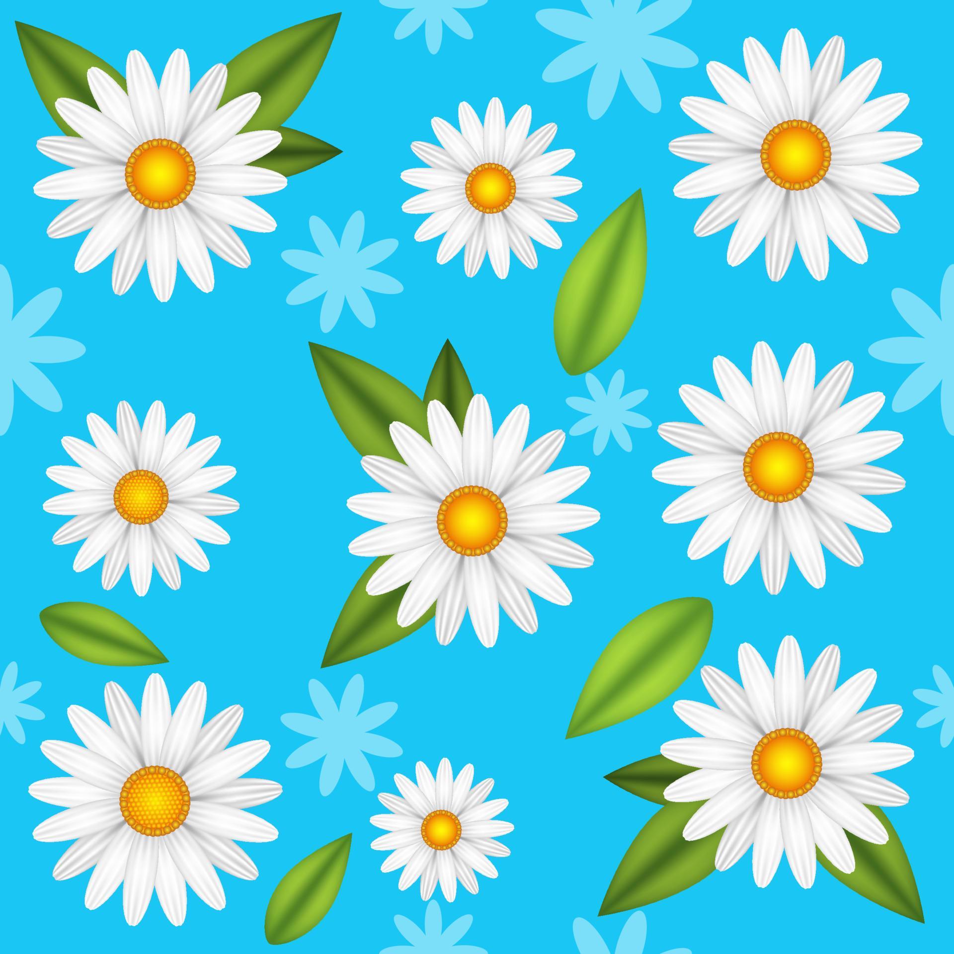 Chamomile flower realistic seamless vector illustration. Pattern white daisy blooming plants with green leaves on blue background. Stock Free