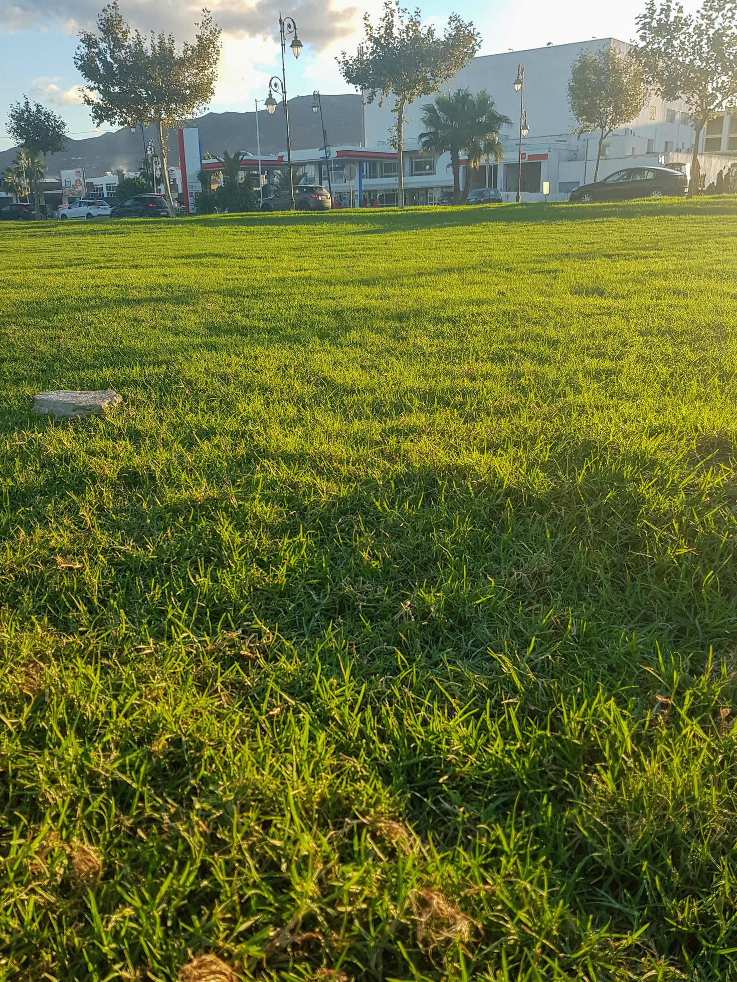 Nature beauty a mesmerizing sunset on the lawn Stock Free