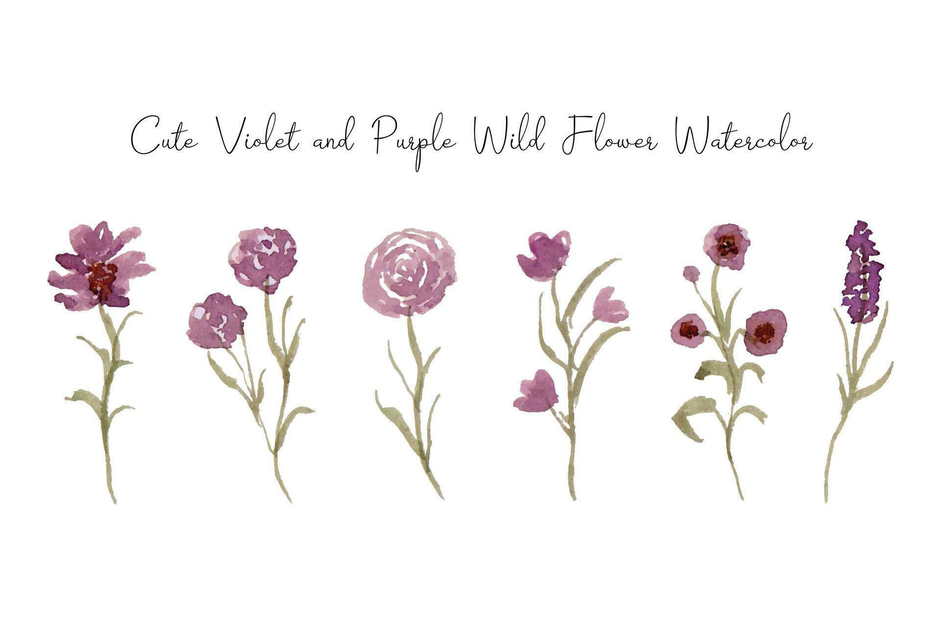 Elegant Wild Flower Watercolor Collection Stock Free