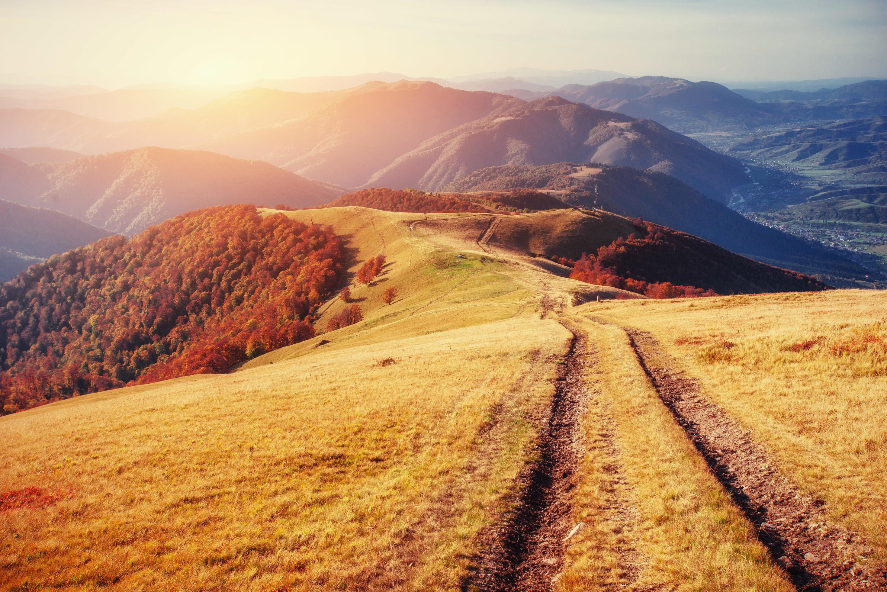 autumn alley. Carpathians. Ukraine, Europe Stock Free