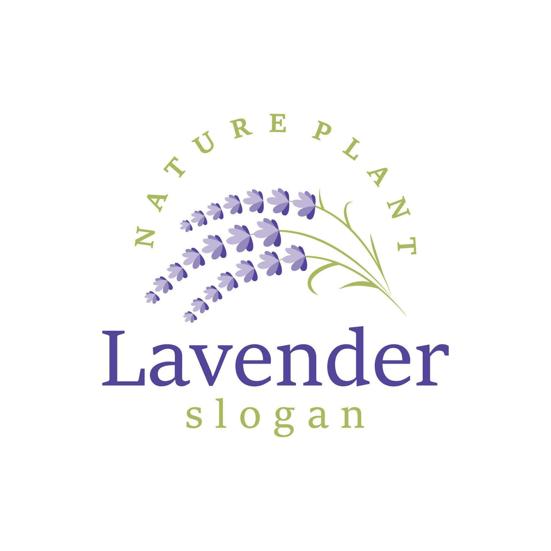 Lavender Logo Elegant Purple Flower Plant Illustration Floral Ornament Design Stock Free