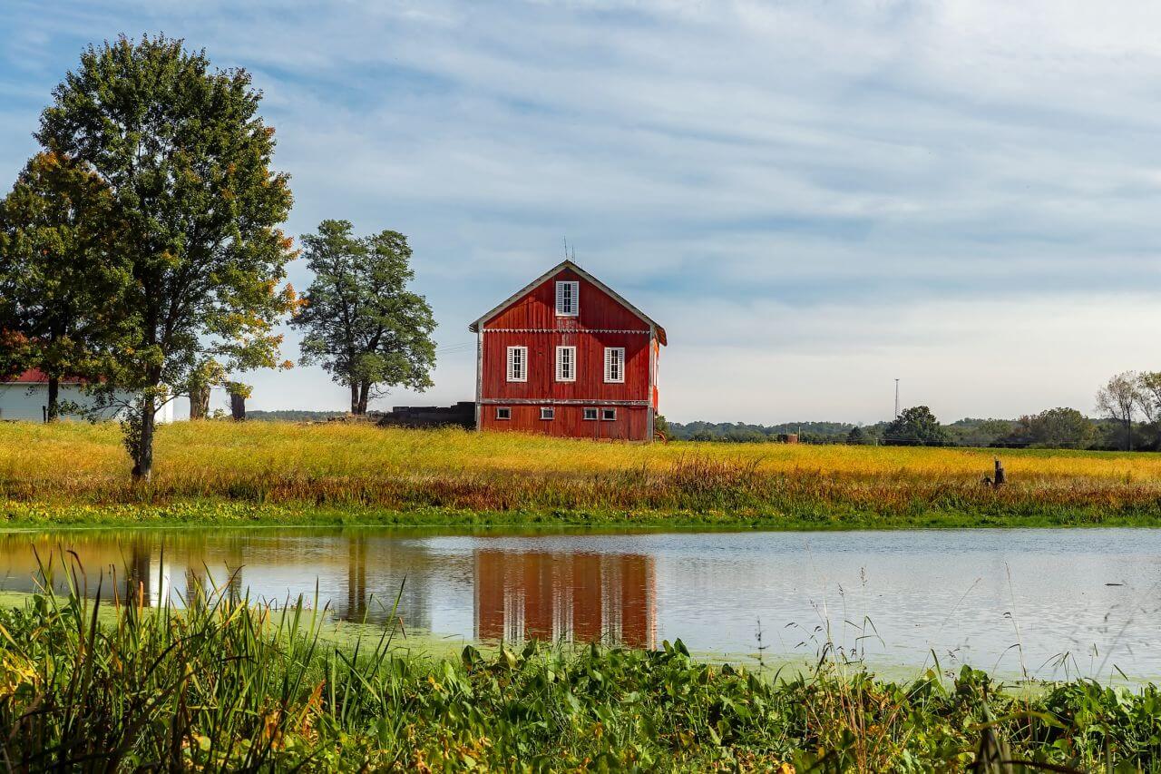 Barn Stock Free