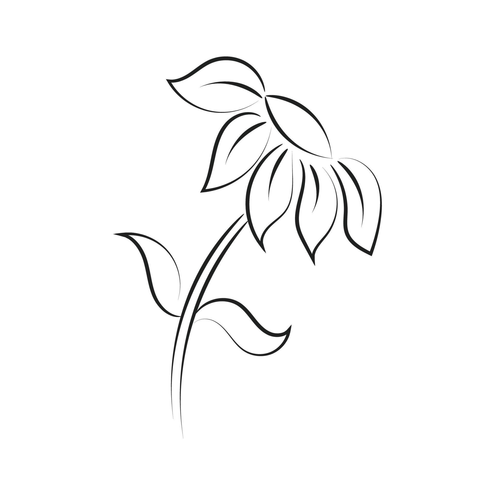 Black silhouettes, flowers and herbs isolated on white background. Hand drawn sketch flower Stock Free