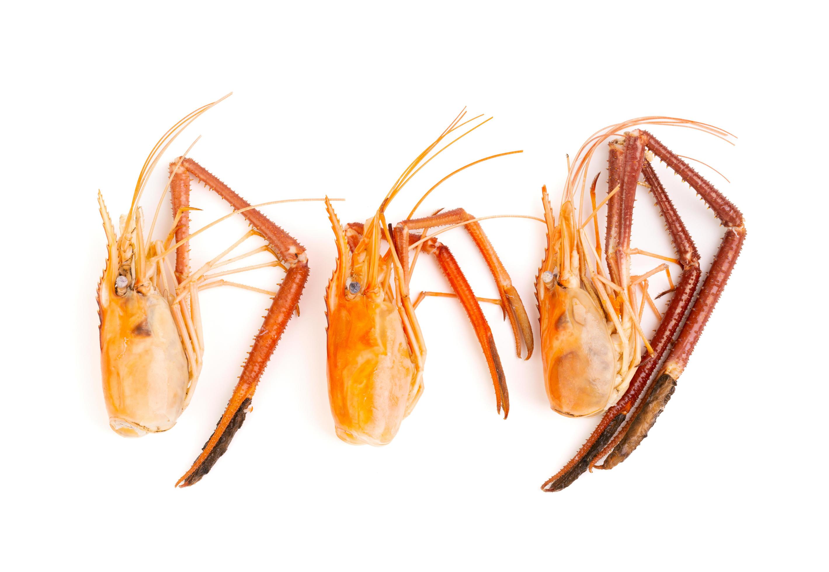 three shrimp heads And shrimp shells, food scraps, leftovers, waste, natural seafood. lunch. dinner isolated on white background Stock Free