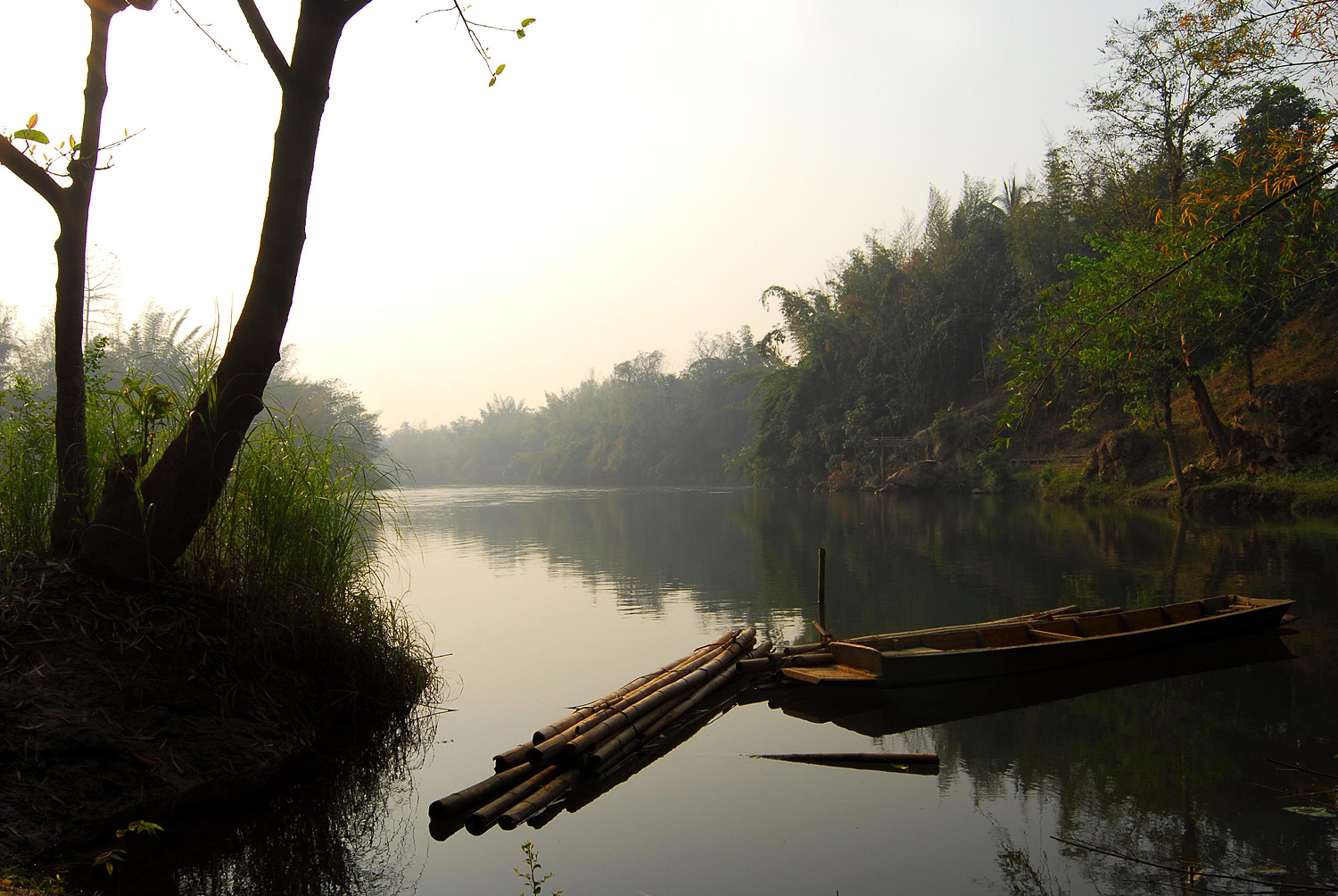 Beautiful nature of the water lake forest Stock Free