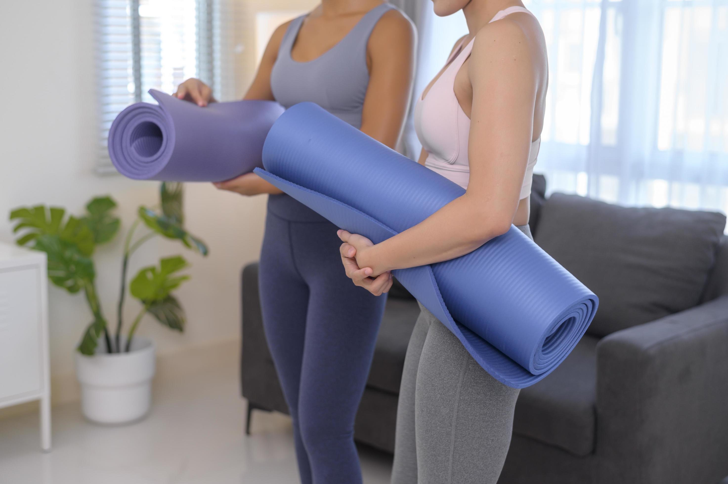 Fit young woman holding yoga mat, sport and healthy lifestyle concept. Stock Free