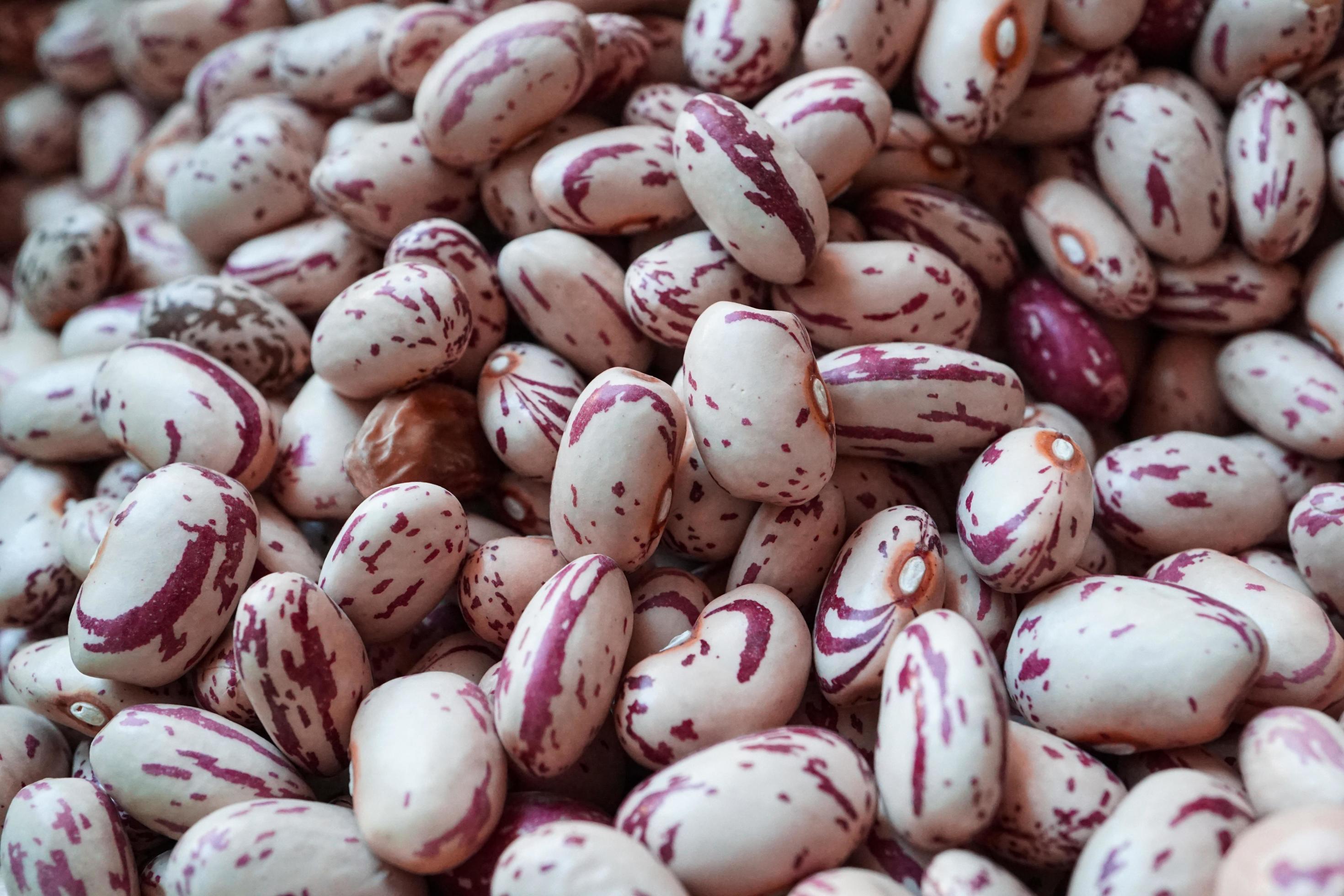 red beans for cooking, healthy food Stock Free