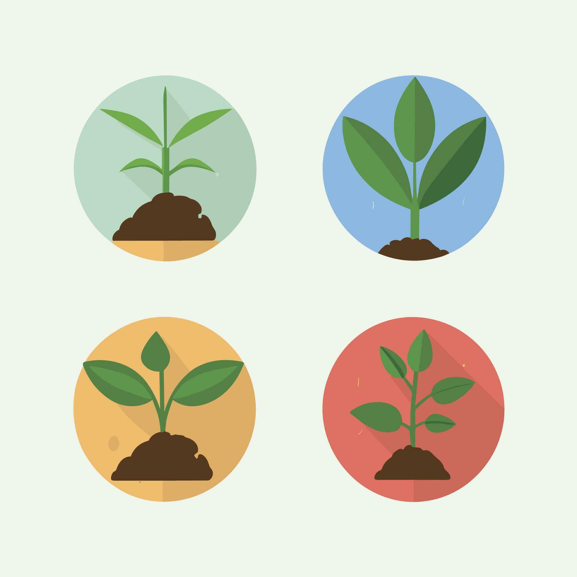 Flowers and plants seedling process flat icons set isolated vector illustration. Stock Free