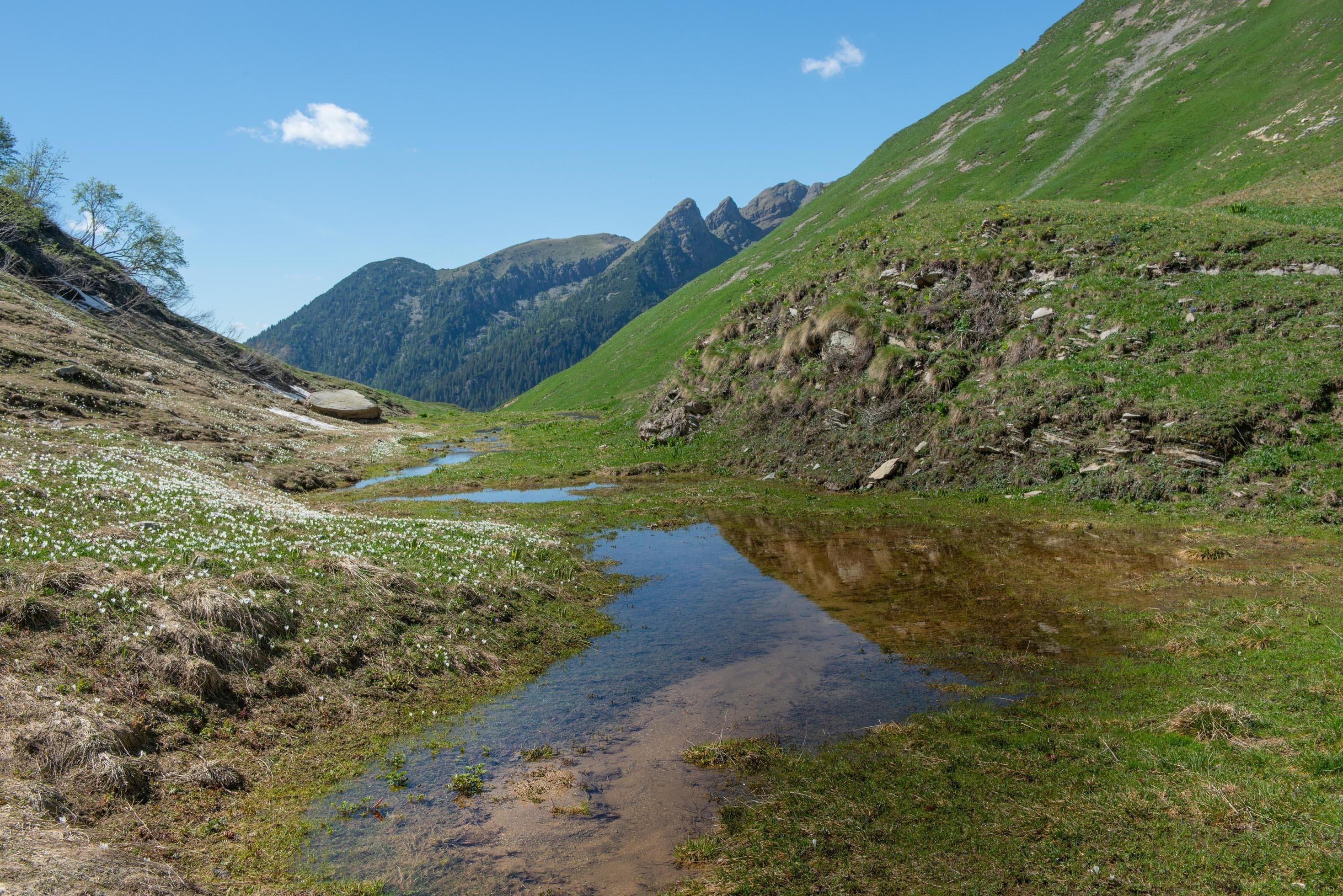 Mountain with lake Stock Free