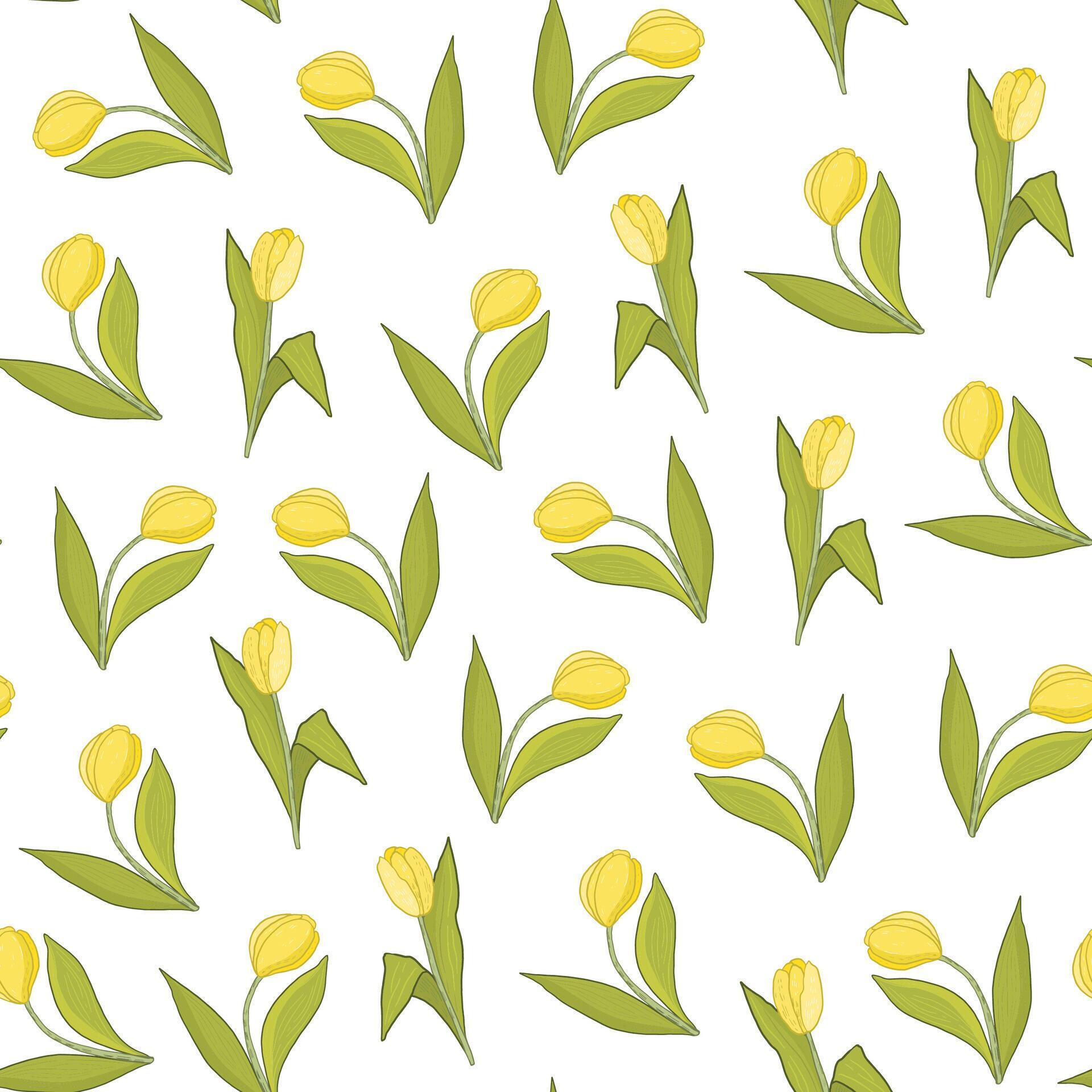 Tulip flowers vector seamless pattern. Stock Free