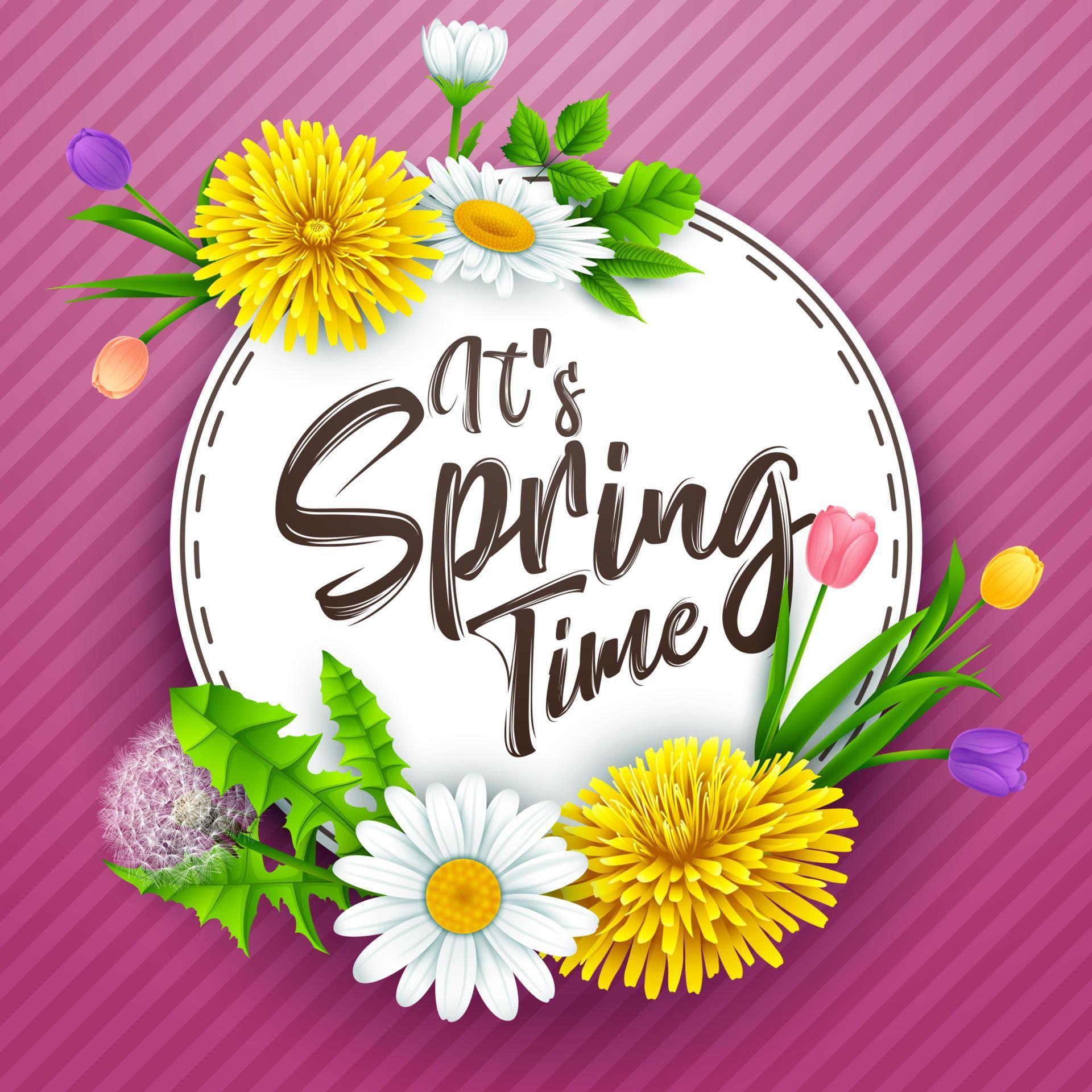 Spring background with several flower wreath. vector illustration Stock Free