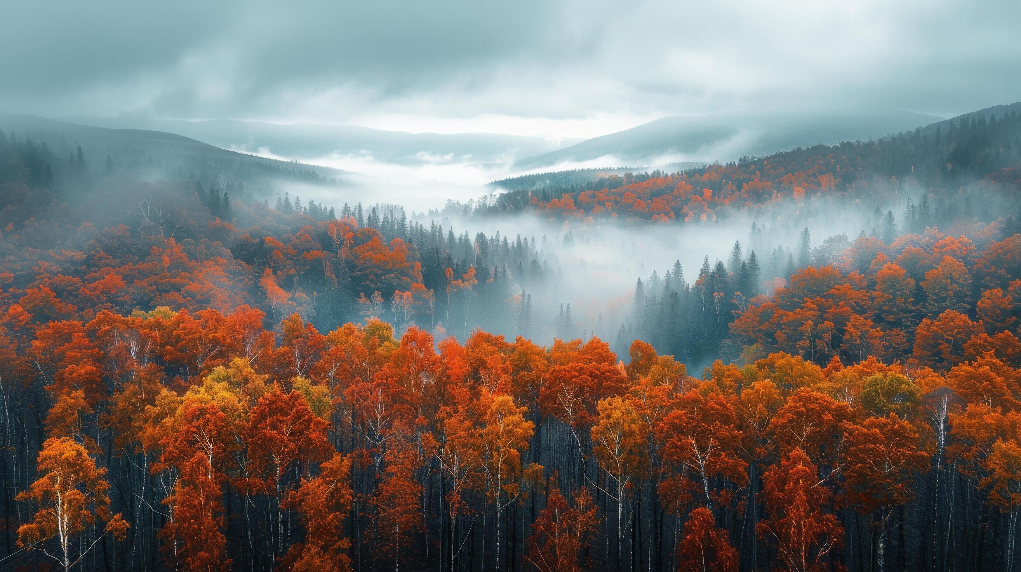 Aerial View of Forest With Mountain Background Stock Free