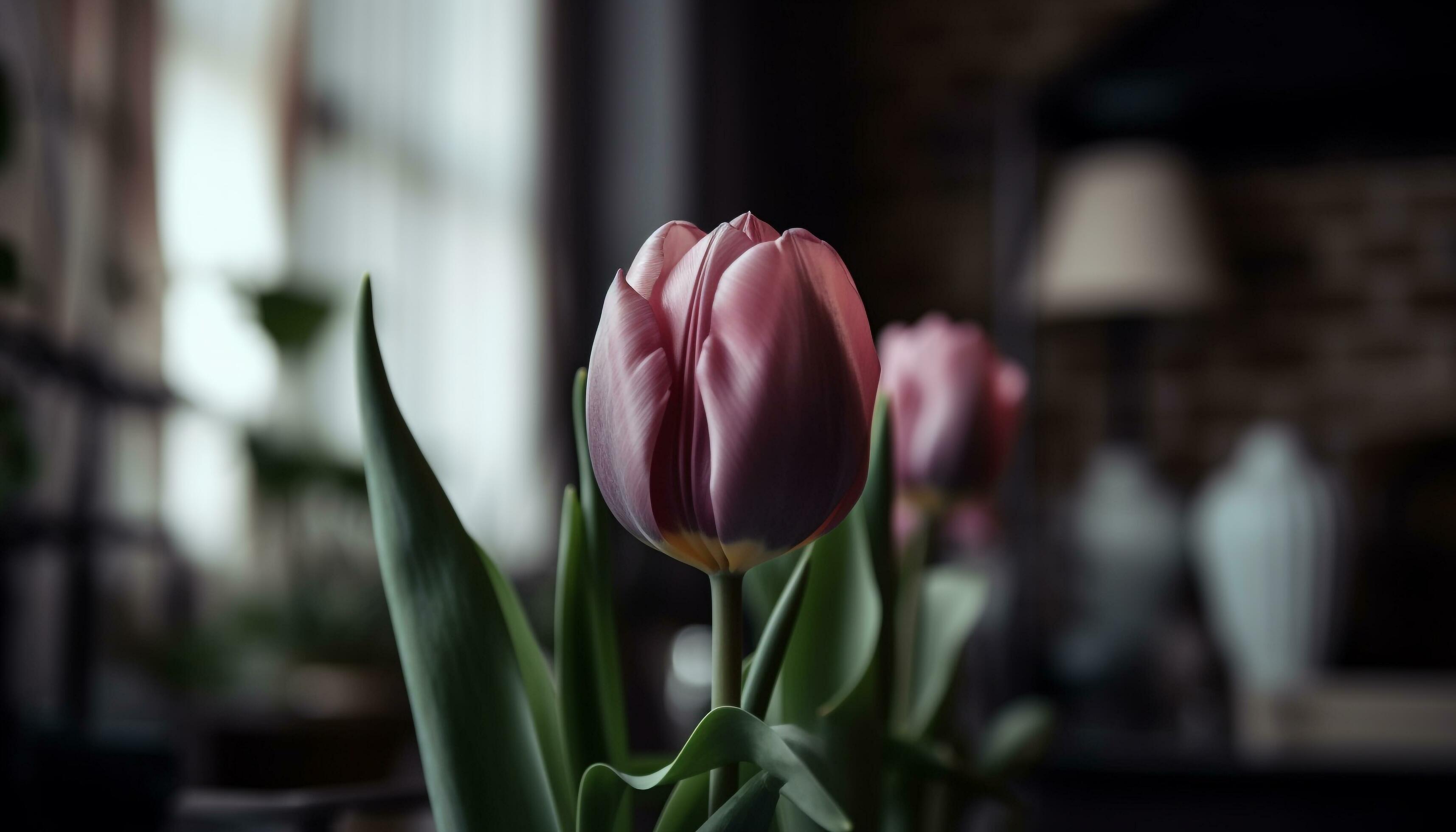 Vibrant bouquet of multi colored flowers brings beauty to domestic room generated by AI Stock Free