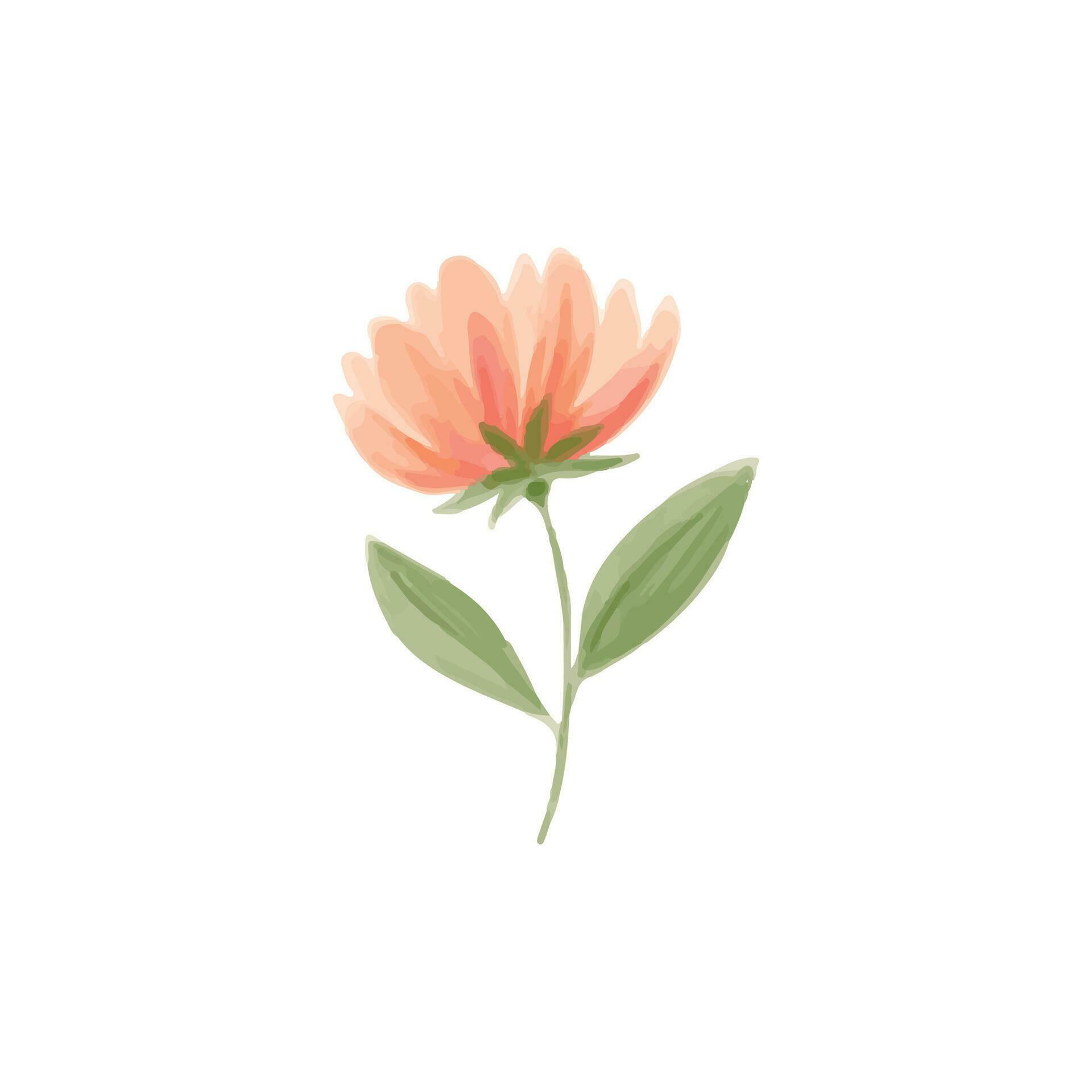 Vector hand painted watercolor flower Stock Free