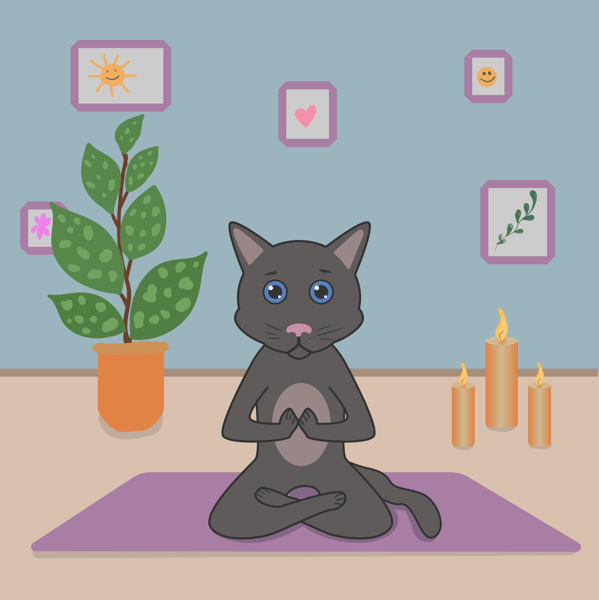 Cute gray cat doing yoga in the lotus position, assana, in a cozy room with flowers, candles and paintings Stock Free and Free SVG