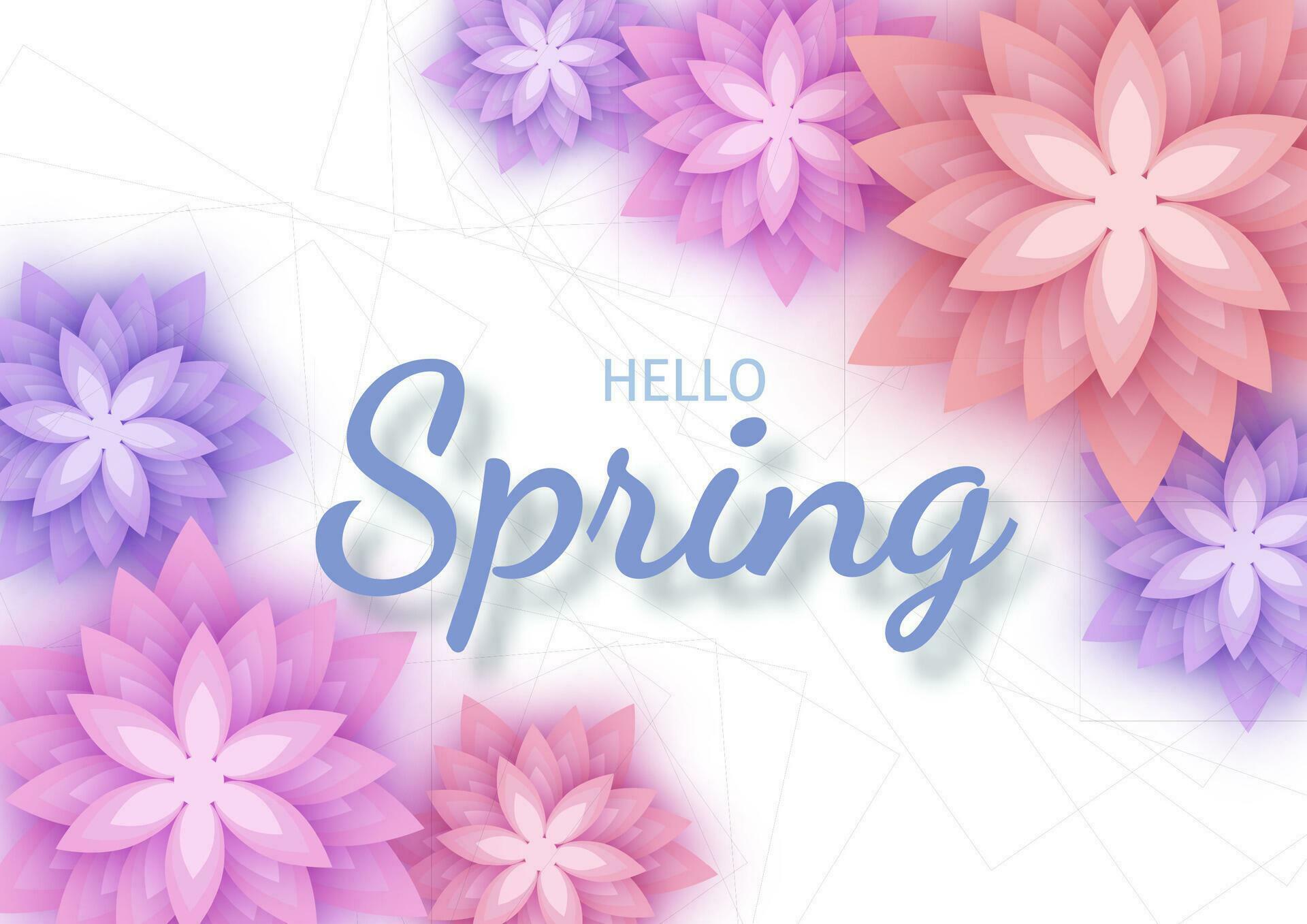 Hello Spring, floral greeting card, paper flowers. Banner with realistic paper flowers. Vector illustration Stock Free