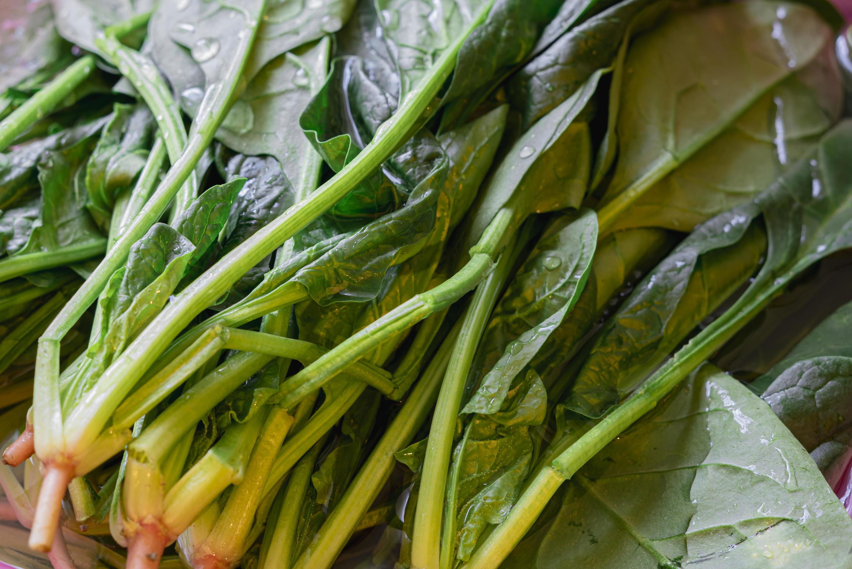 Green bunch of arugula plant vegan food Stock Free