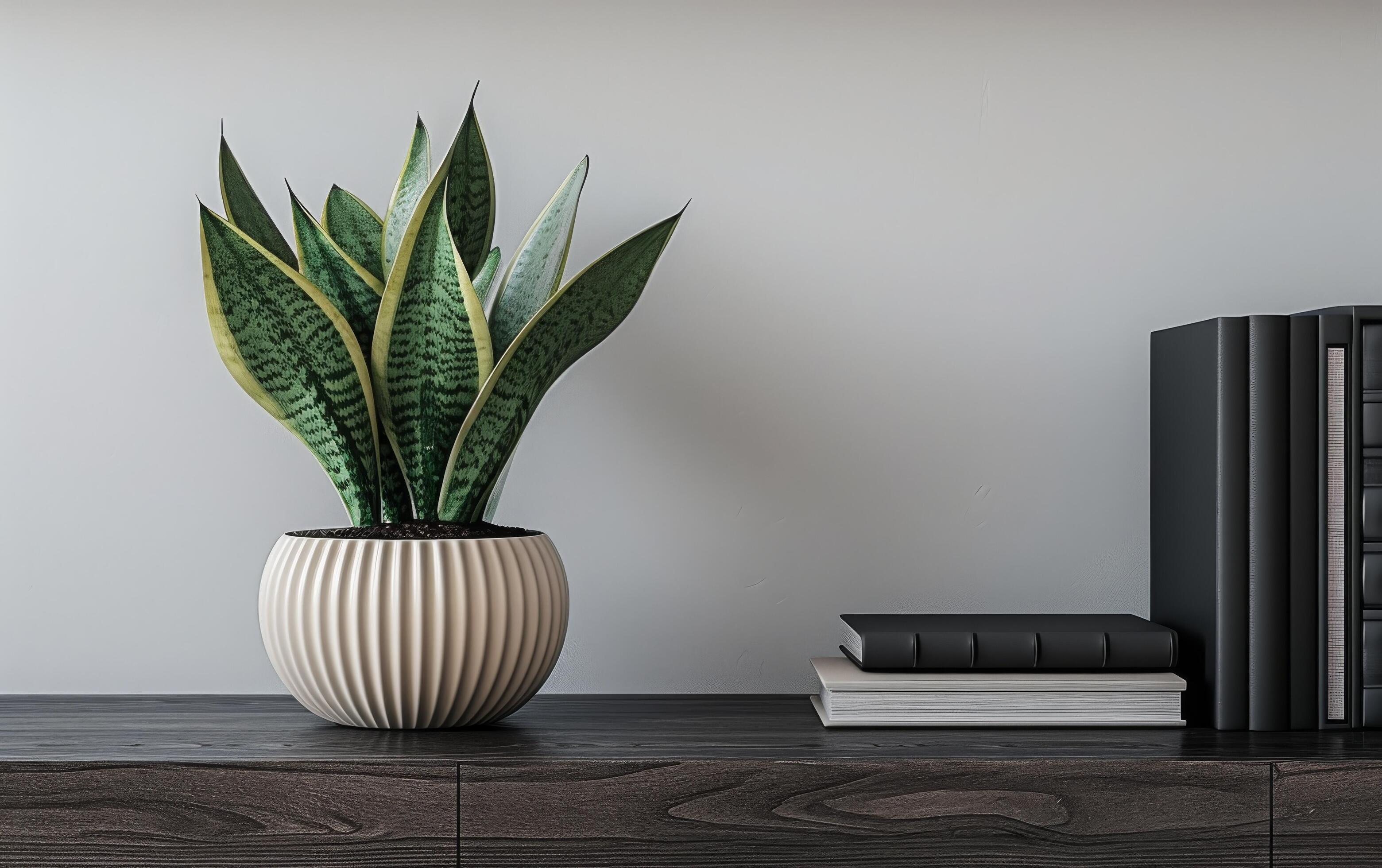 AI generated A potted snake plant adds a touch of greenery to a minimalist shelf arrangement Stock Free