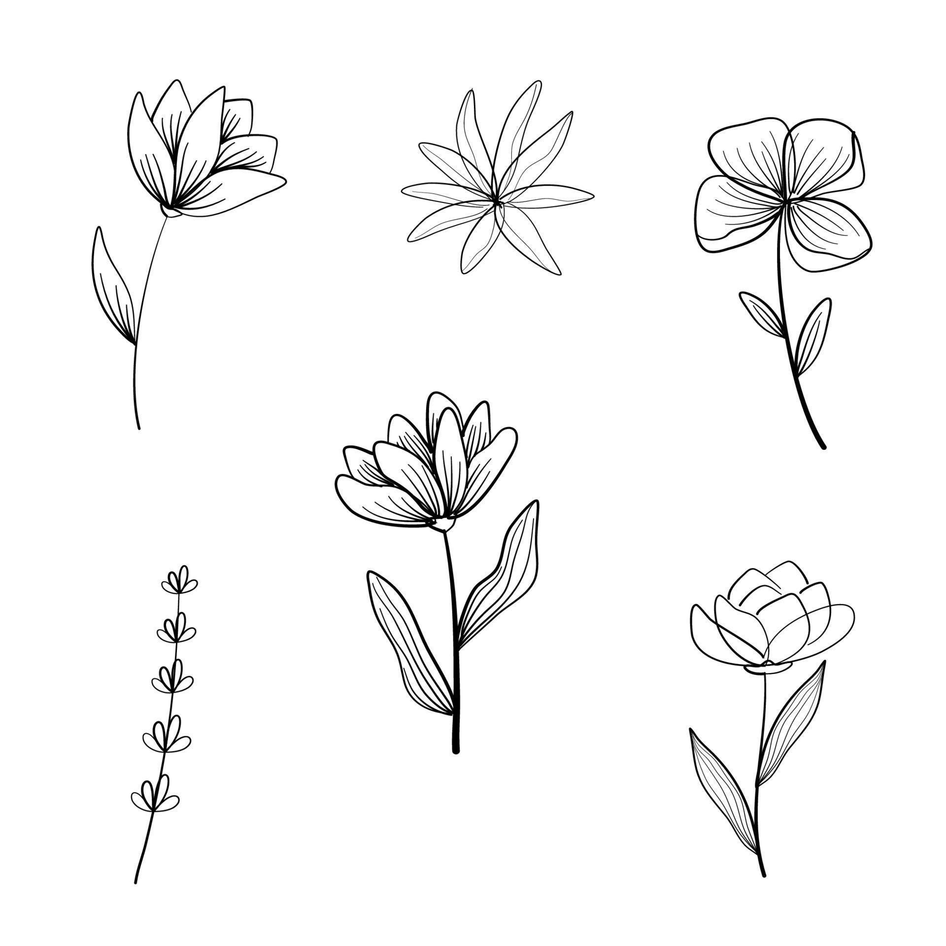 Flower abstract line art set collection Stock Free and Free SVG