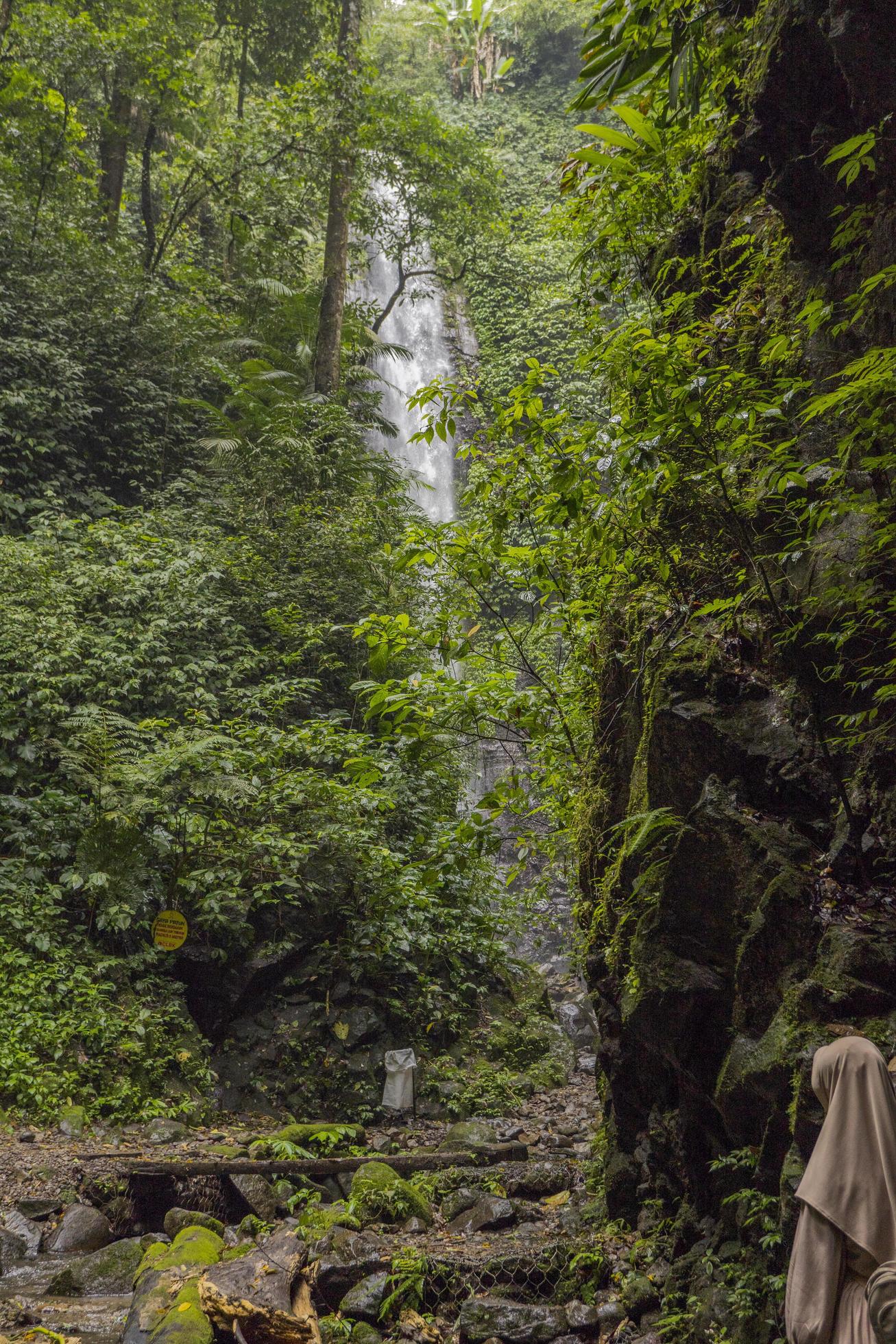 The way going to water fall on the rain forest. The photo is suitable to use for adventure content media, nature poster and forest background. Stock Free