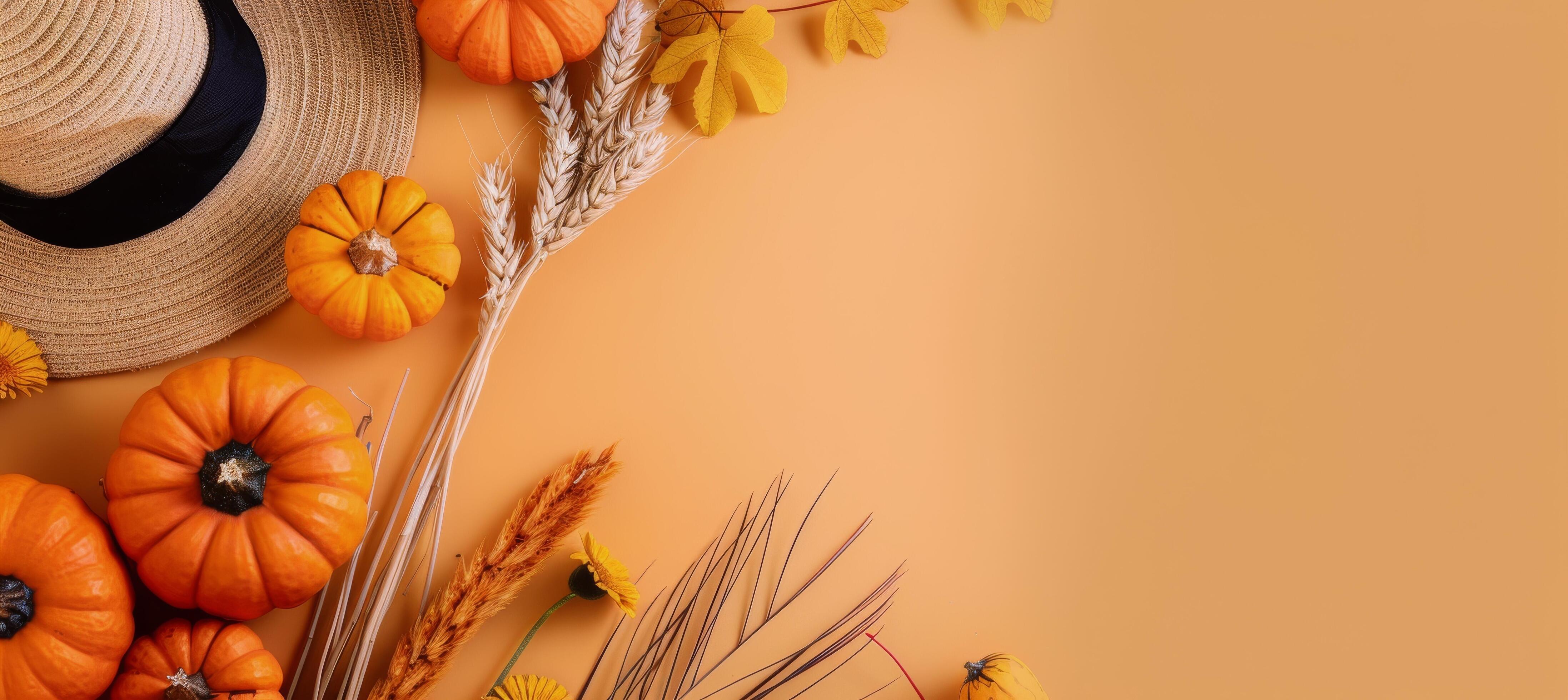 Halloween Decorations With Pumpkins and Spiders on Orange Background Stock Free