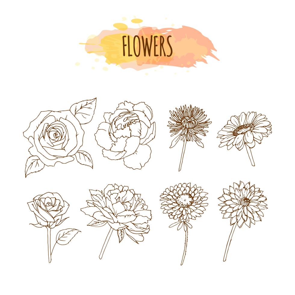 Hand Drawn Flower Set. Floral Illustration. Stock Free