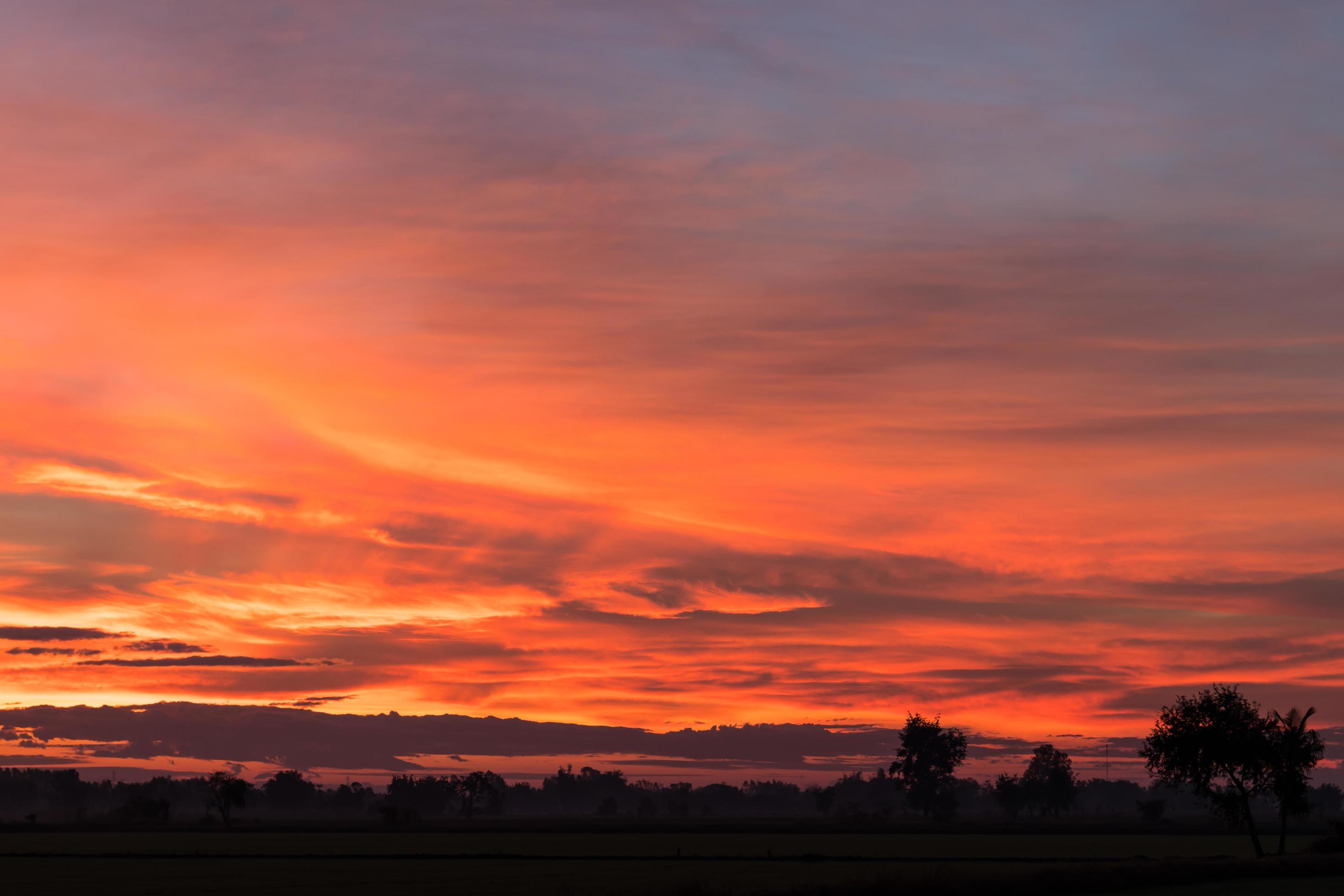 Sky orange and yellow countryside. Stock Free