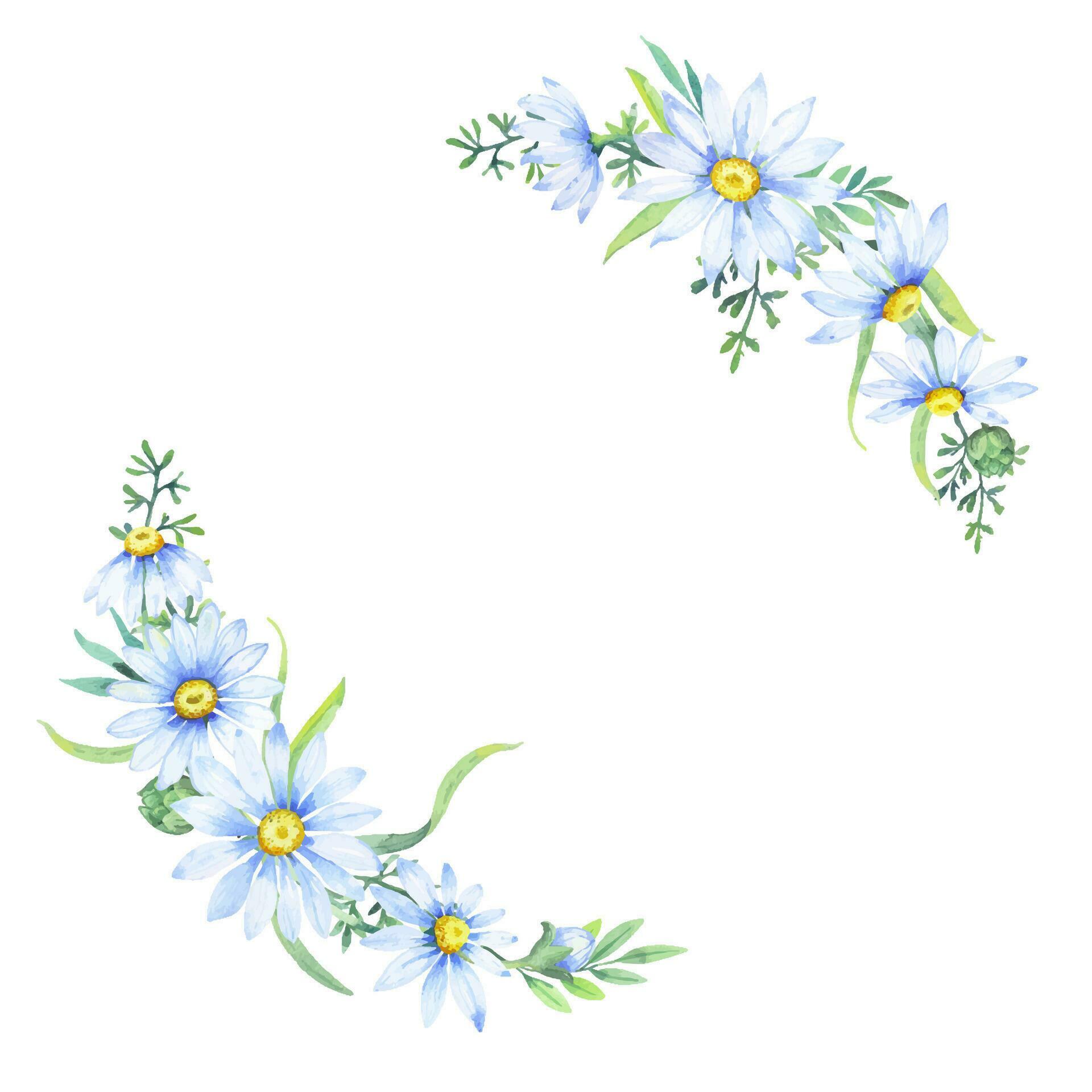 watercolor wreath with chamomile flowers. Floral round border of daisies. Stock Free