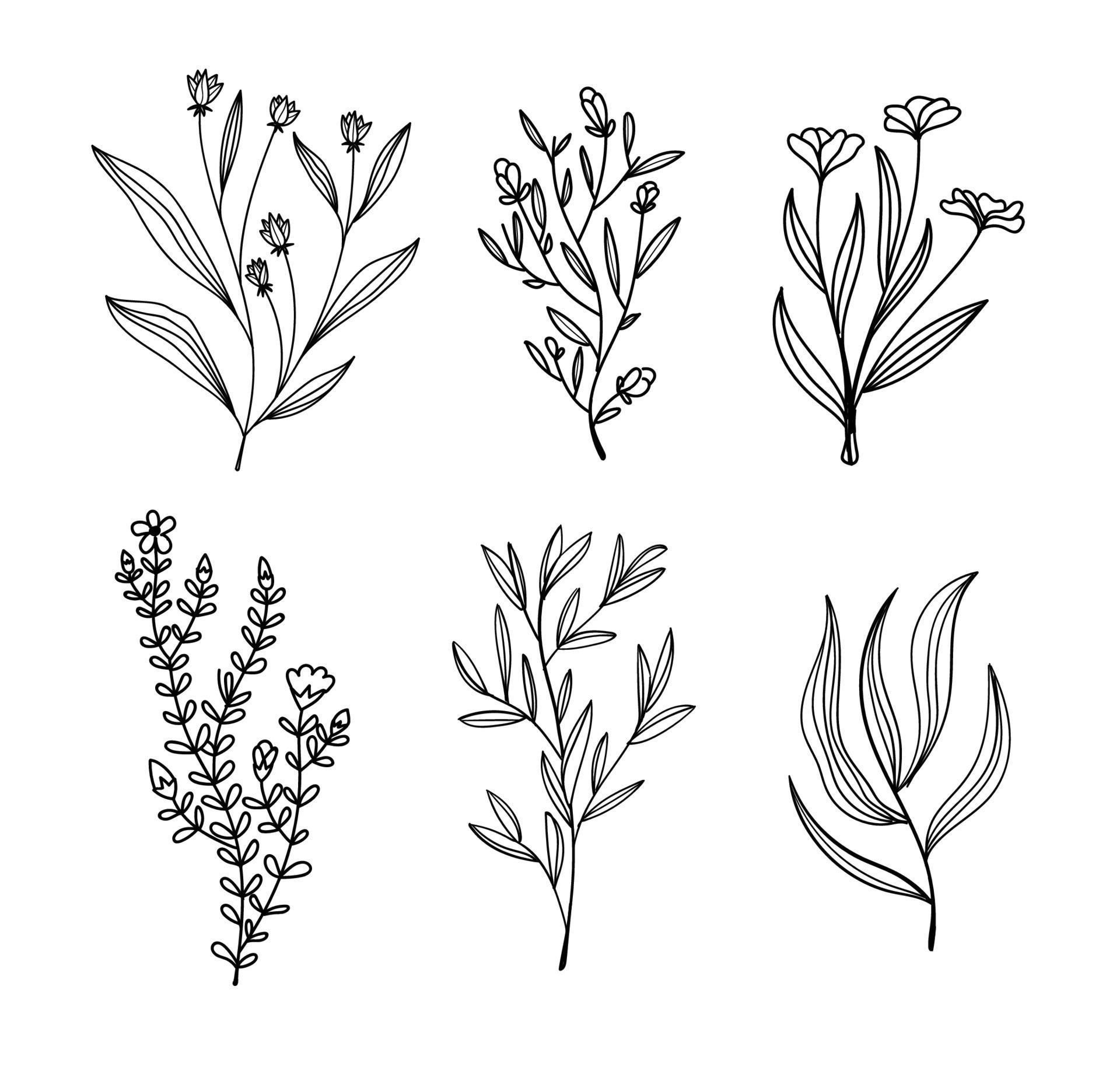 sketch of simple flowers vector collection Stock Free