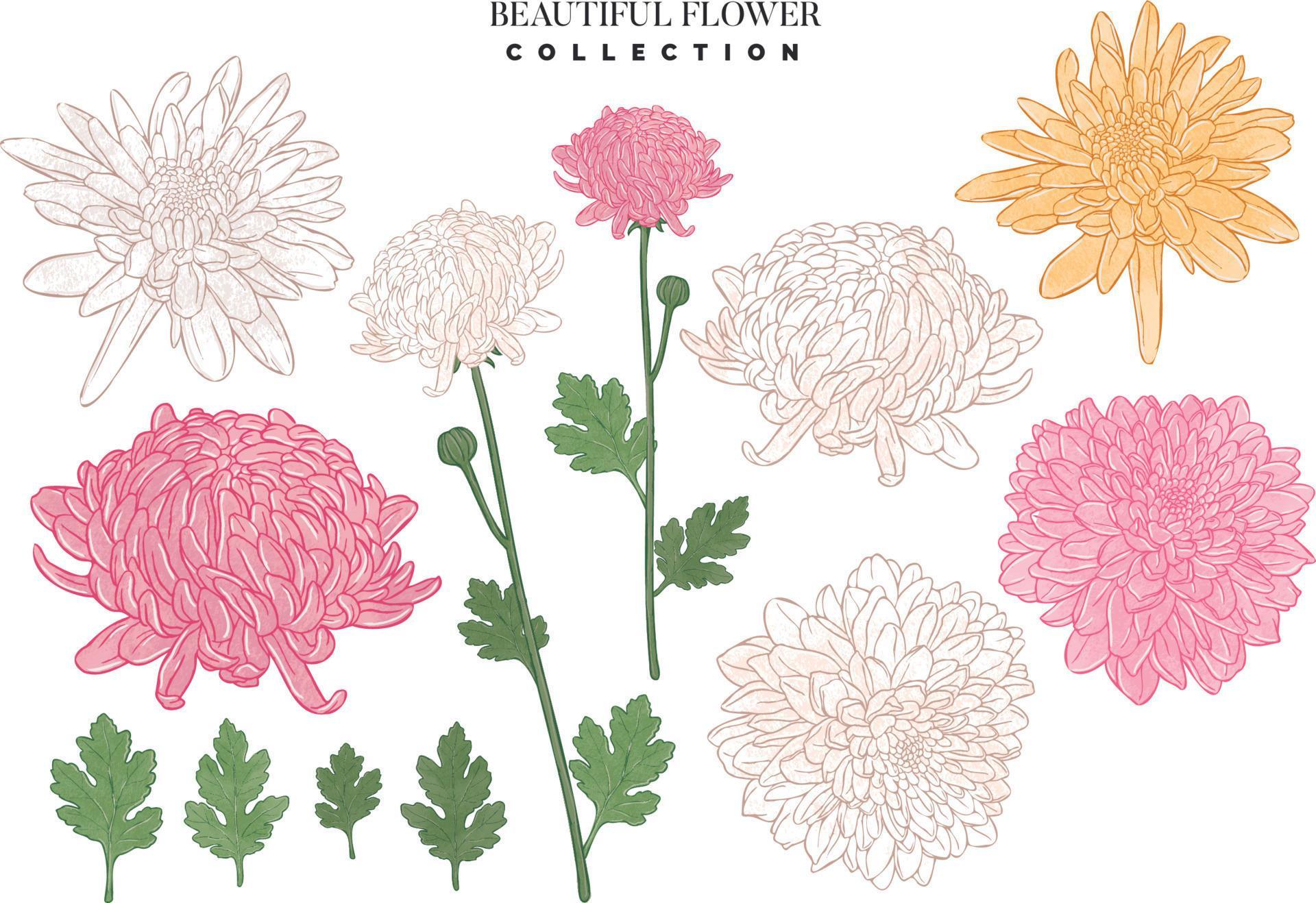 Collection of hand drawn beautiful flowers Stock Free