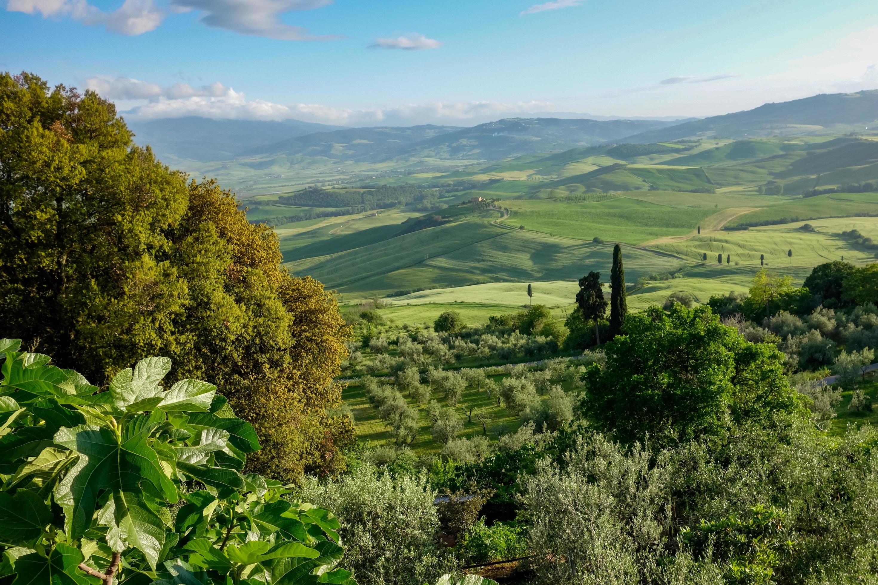 Countryside of Val d’Orcia near Pienza in Tuscany Stock Free