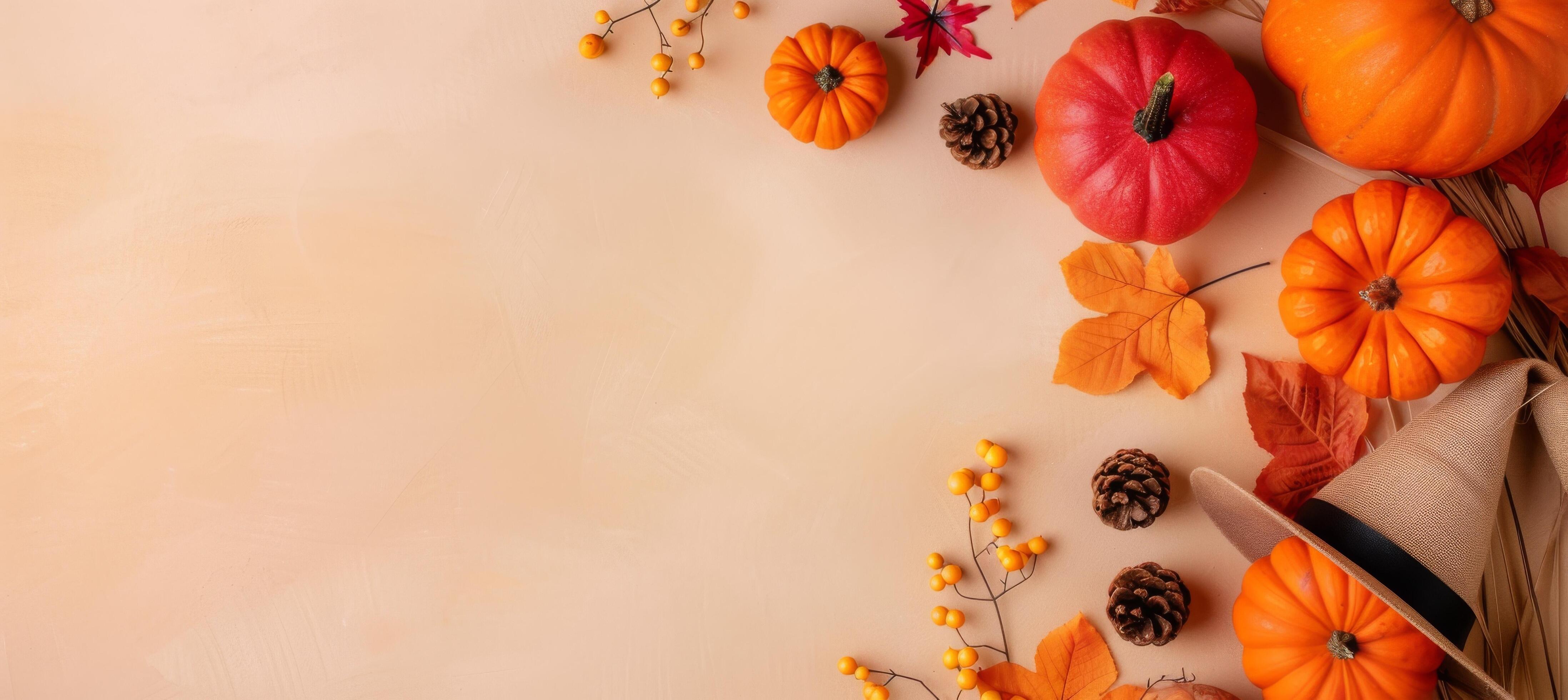 Halloween Decor Featuring Pumpkins, Trees, and a Witch Hat on a Fall Background Stock Free