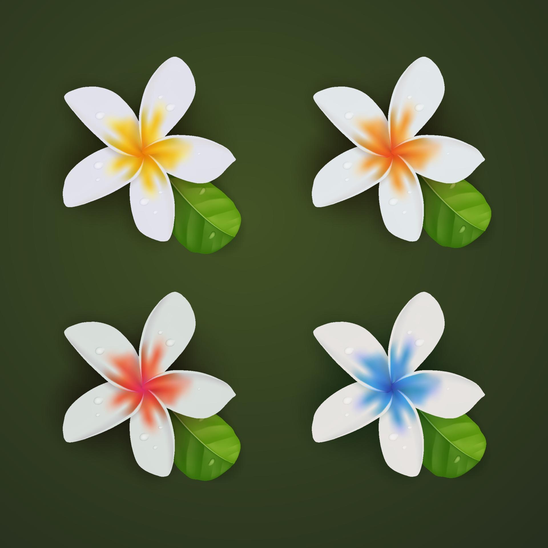 3D realistic summer flower plumeria collection set Stock Free