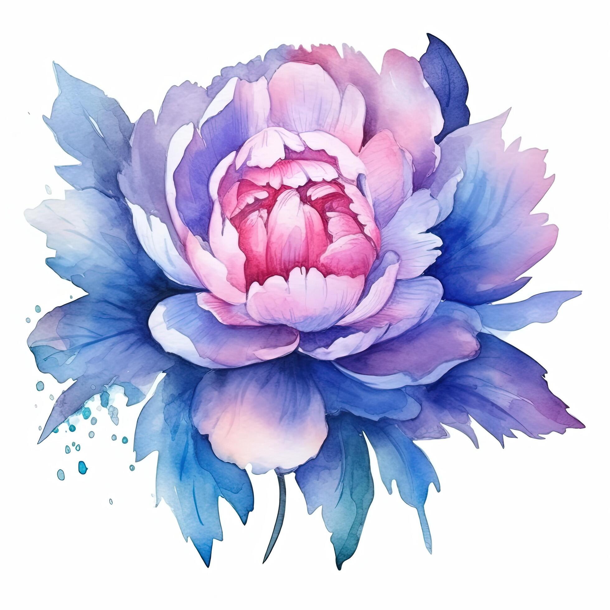 Watercolor beautiful peony flower. Illustration Stock Free