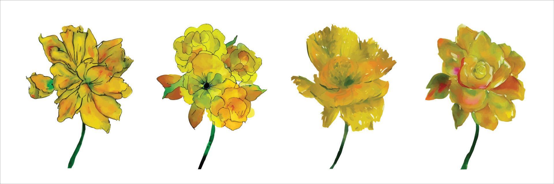 Beautiful watercolor illustration with set of yellow flowers isolated on white background for decorative design. Stock Free