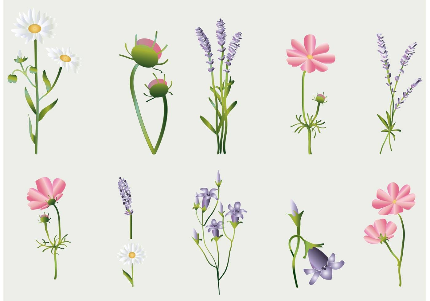 Flower Vectors Collection Stock Free and Free SVG