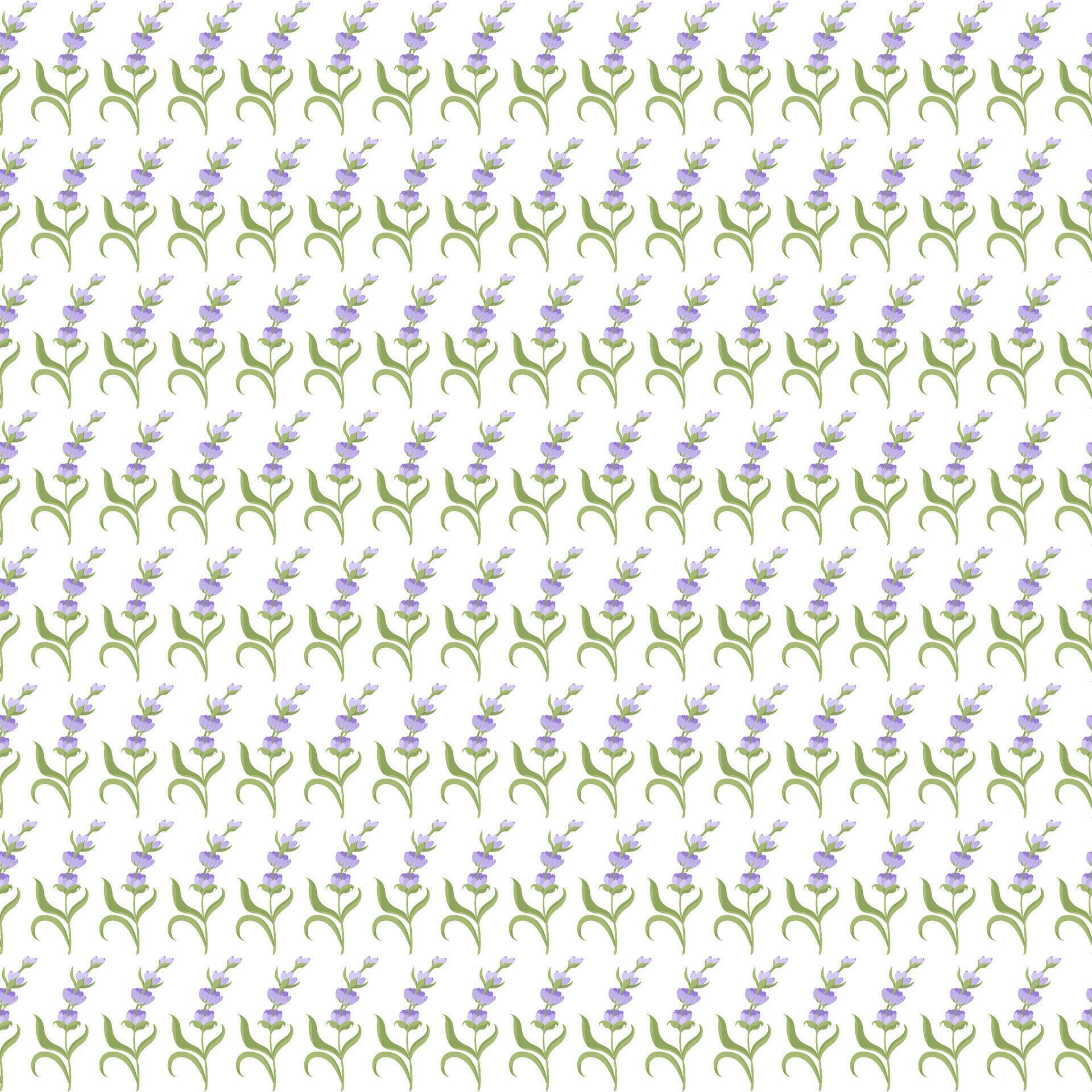 A sprig of lavender. Purple flower. Seamless pattern. illustration. Stock Free